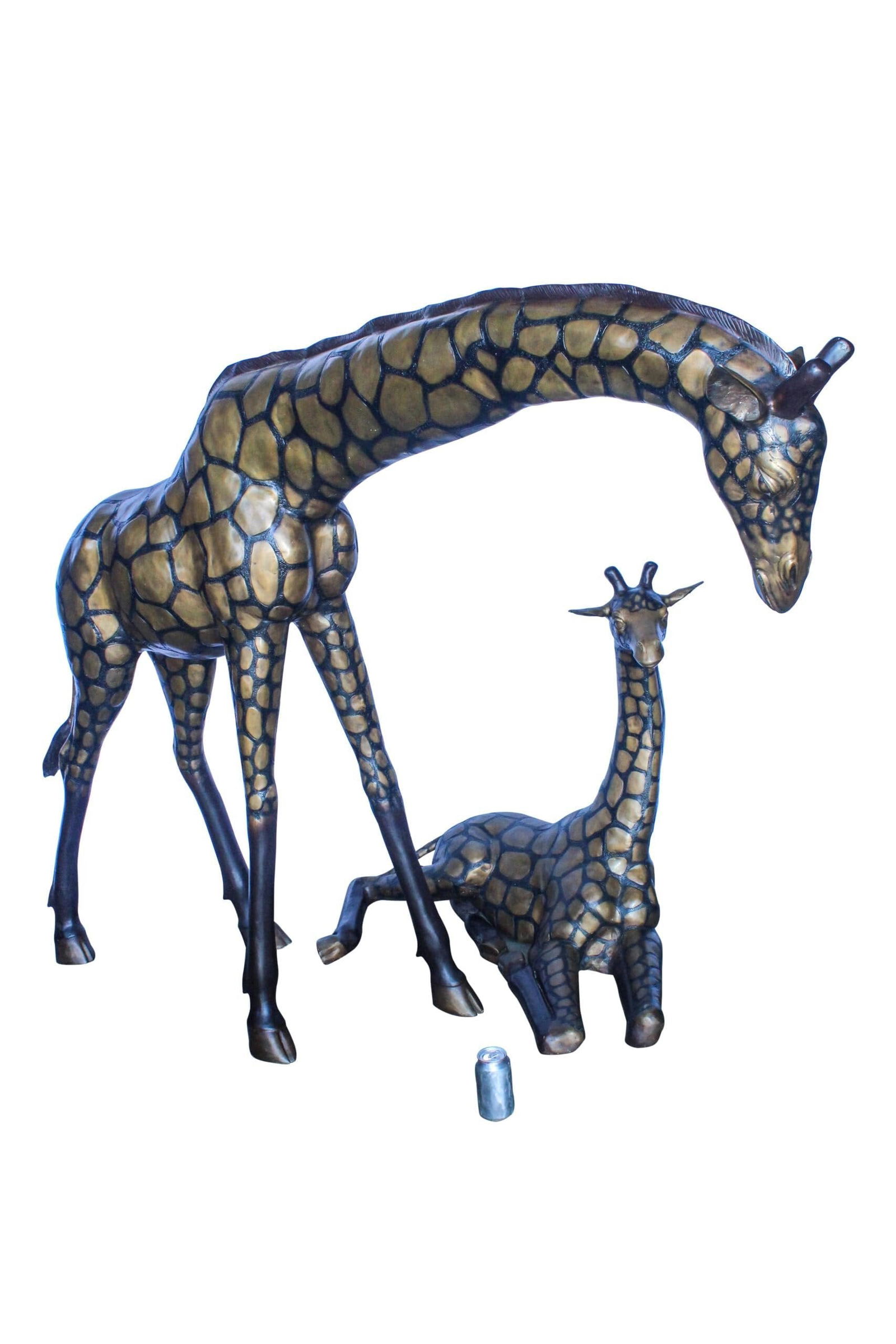 Life Size Bronze Giraffes Statues, One Laying, One Standing 77" x 21" x 58"H: Title:Life Size Bronze Giraffes Statues, One Laying, One Standing 77" x 21" x 58"H Description:Capture the awe-inspiring presence of giraffes with these life-size bronze statues depicting one laying a