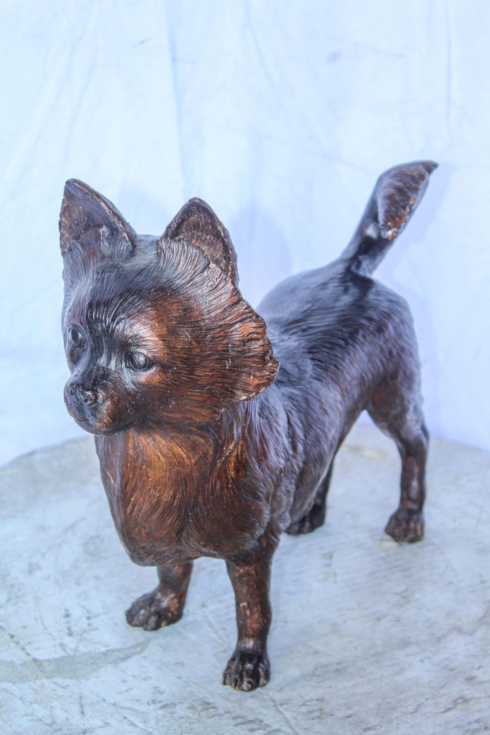 Pomeranian Dog Bronze Statue in a Graceful Standing Pose 18" x 6" x 14"H - 6