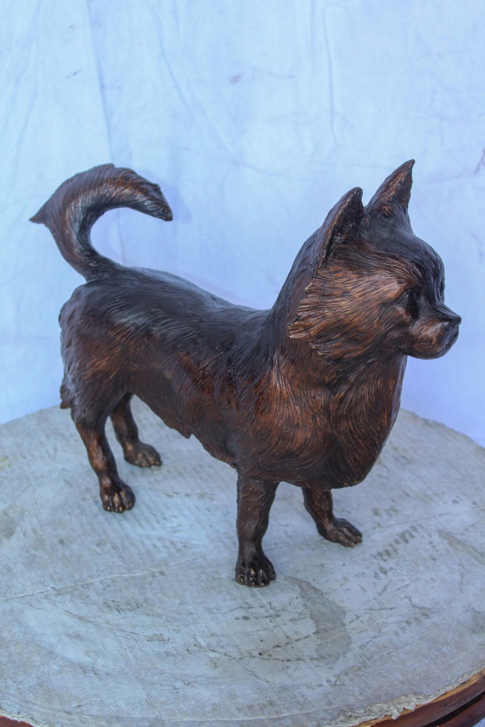 Pomeranian Dog Bronze Statue in a Graceful Standing Pose 18" x 6" x 14"H - 8