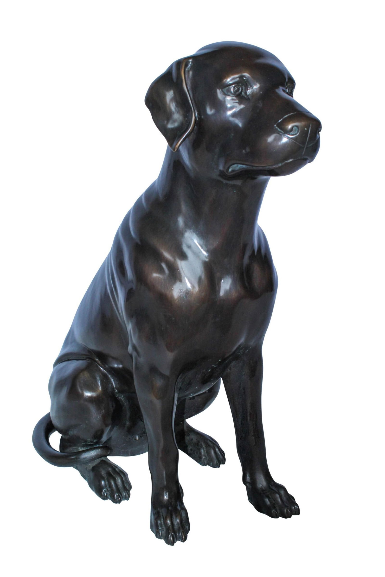 Large Bronze Chocolate Labrador Dog Statue Sitting Pose 22" x 12" x 27"H: Title:Large Bronze Chocolate Labrador Dog Statue Sitting Pose 22" x 12" x 27"HDescription:This large bronze statue depicts a Chocolate Labrador in a seated pose, sculpted with incredible detail and