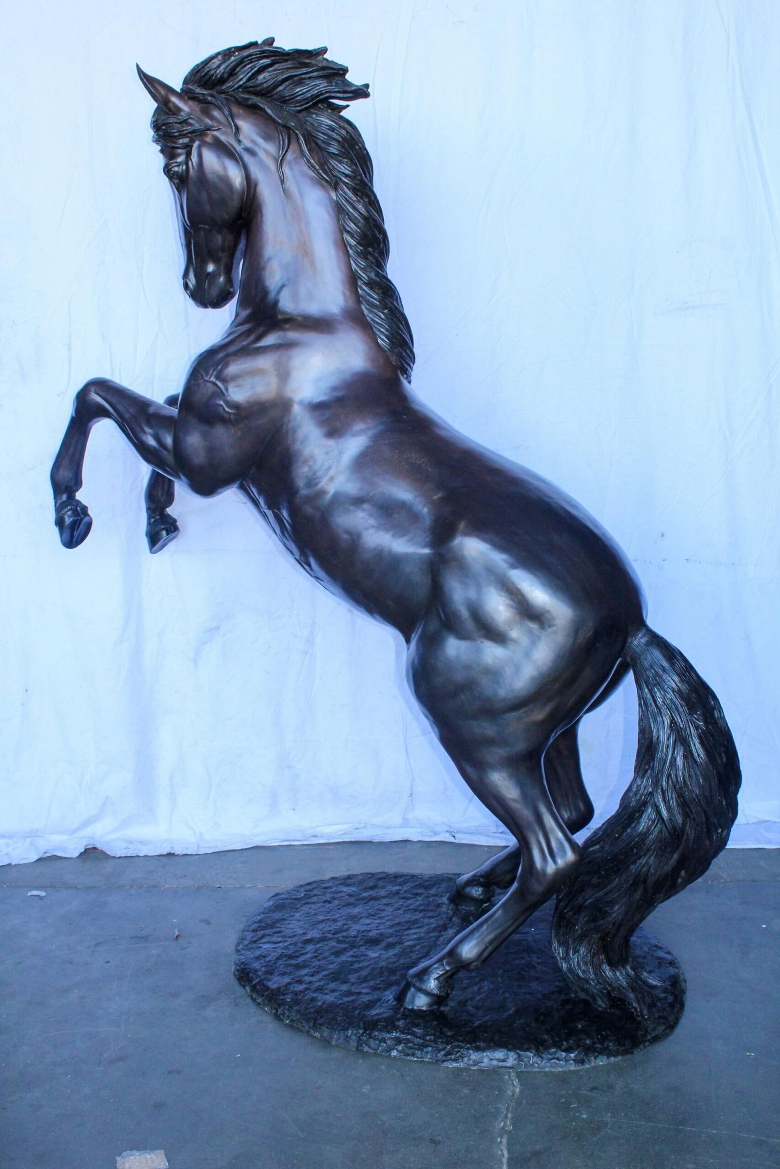 Quarter Horse Rearing, Life Size Bronze Statue, Equestrian Art 72" x 34" x 83"H - 10