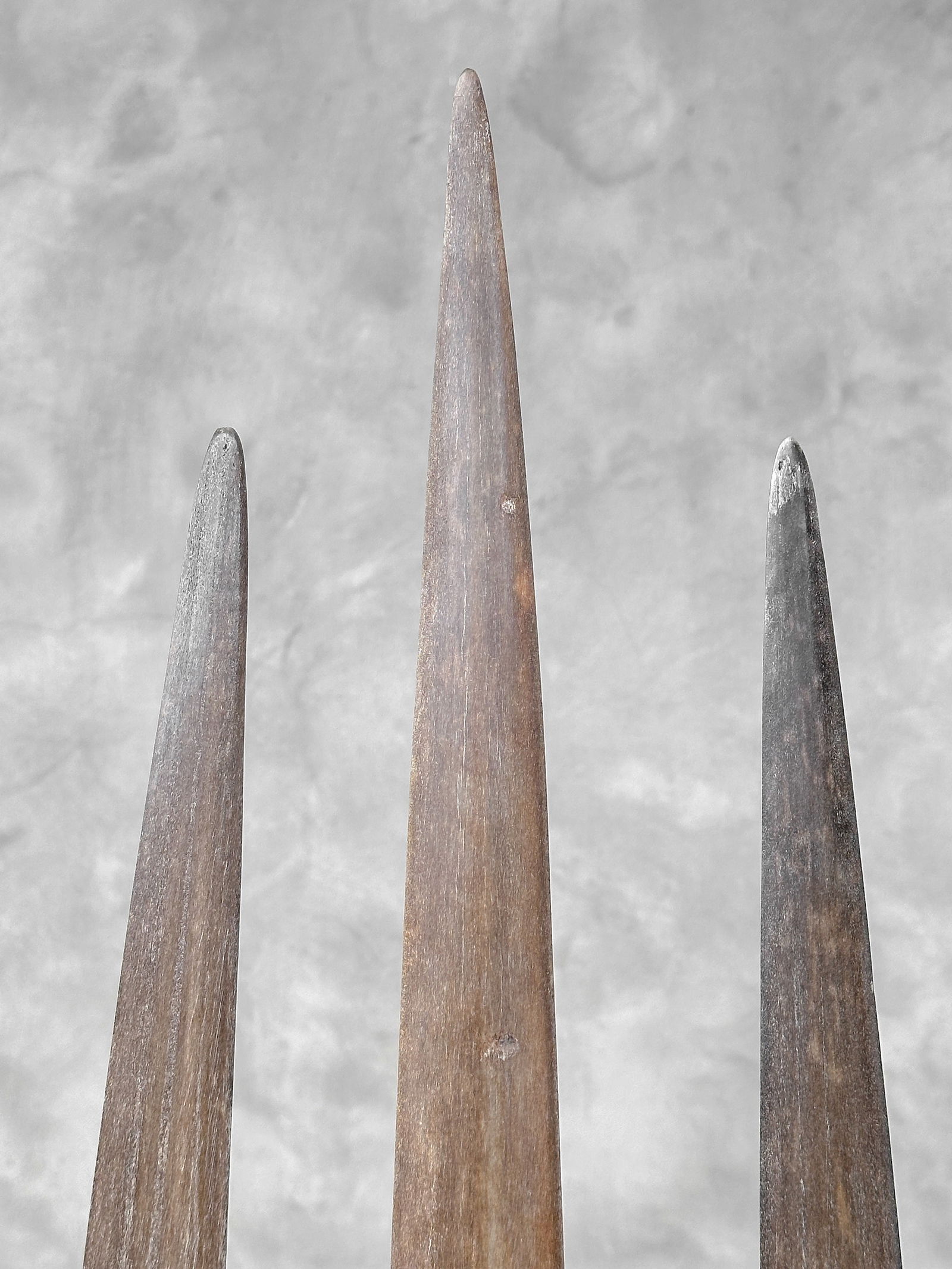 Swordfish tusk trio with custom stands - 10