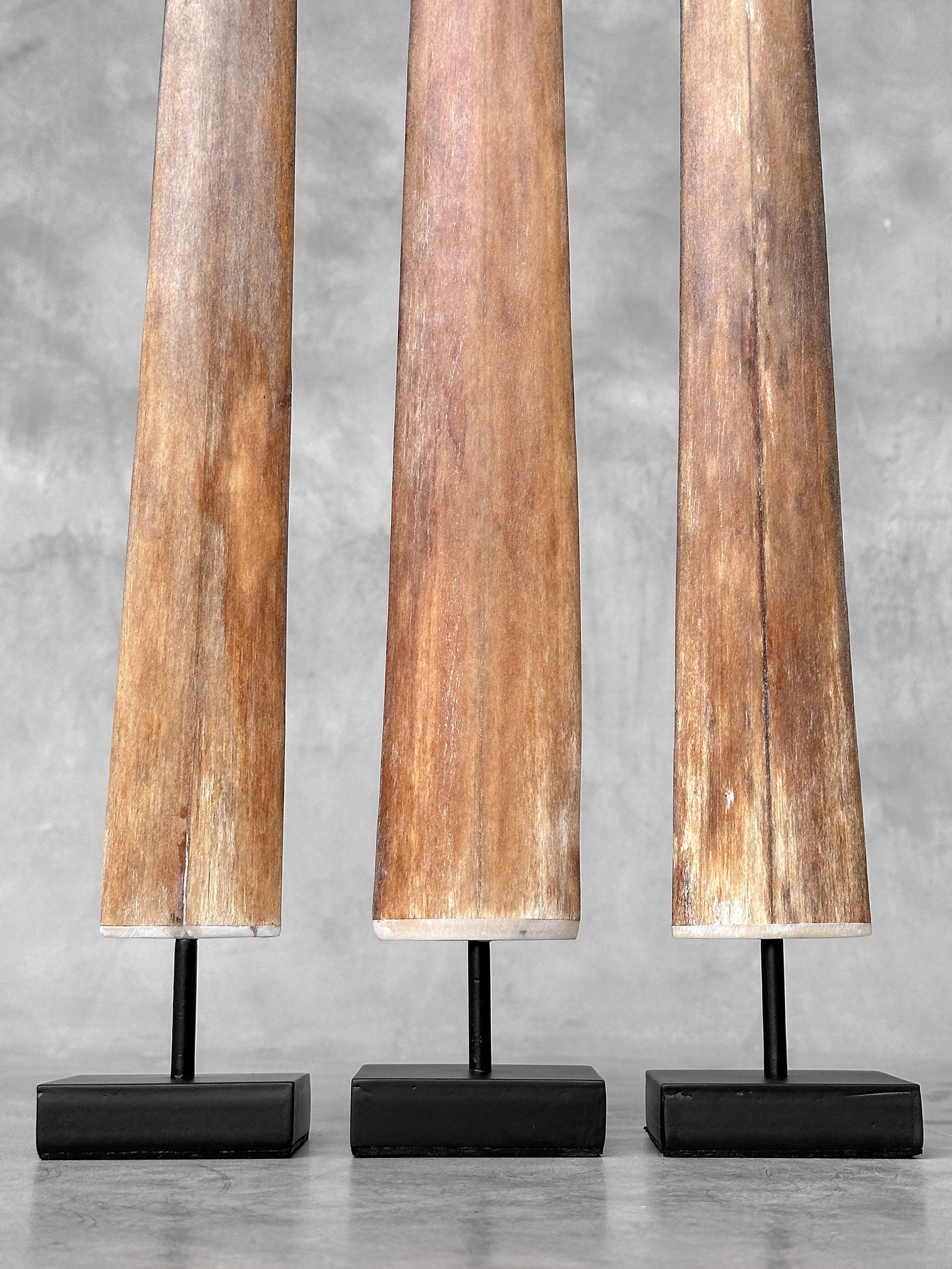 Swordfish tusk trio with custom stands - 4