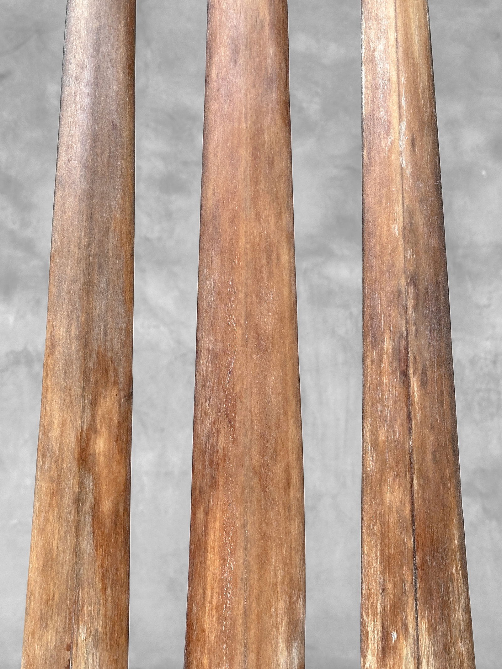 Swordfish tusk trio with custom stands - 5