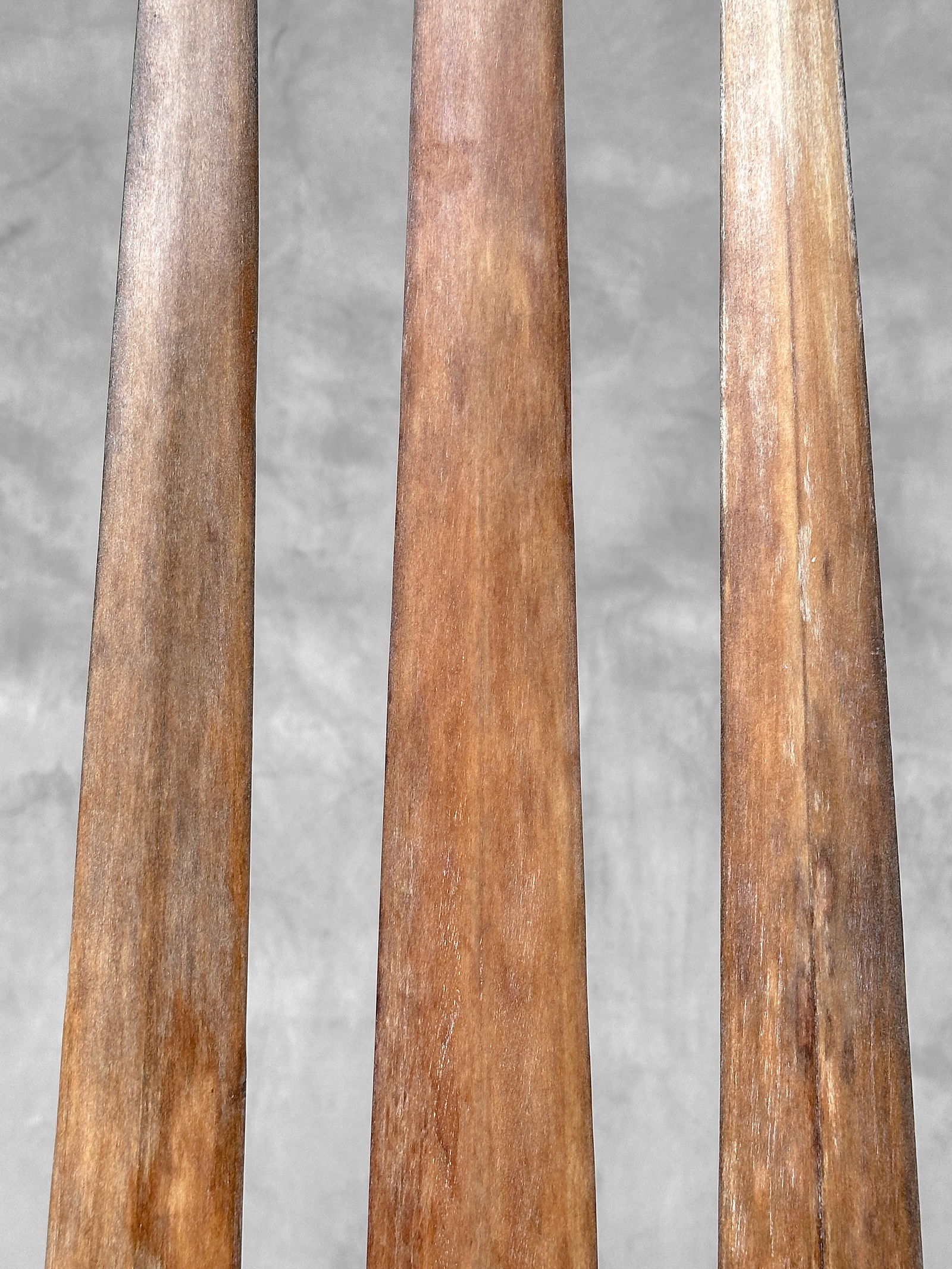 Swordfish tusk trio with custom stands - 6