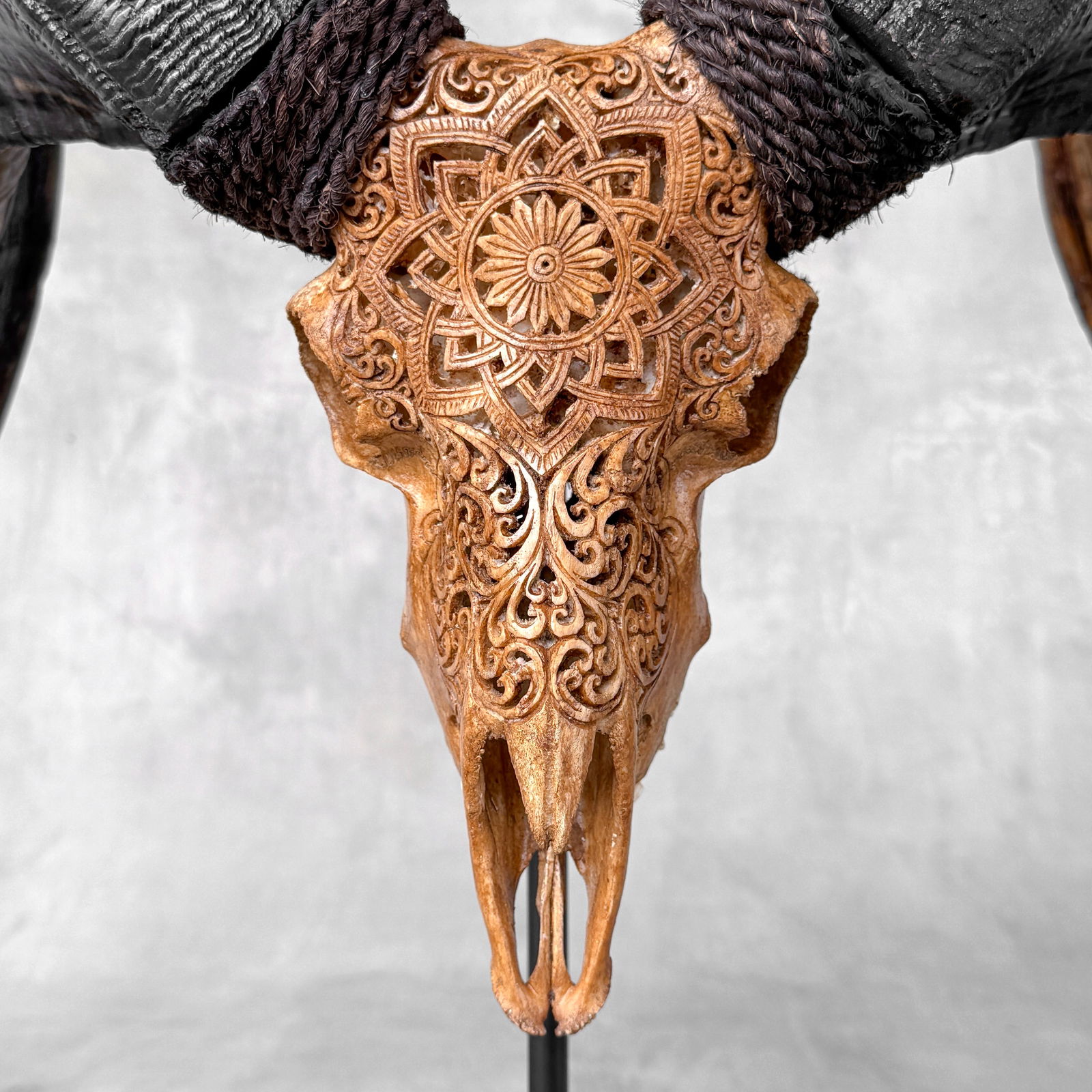 Beautiful large brown ram's skull on a custom stand - Star mandala motif - 4