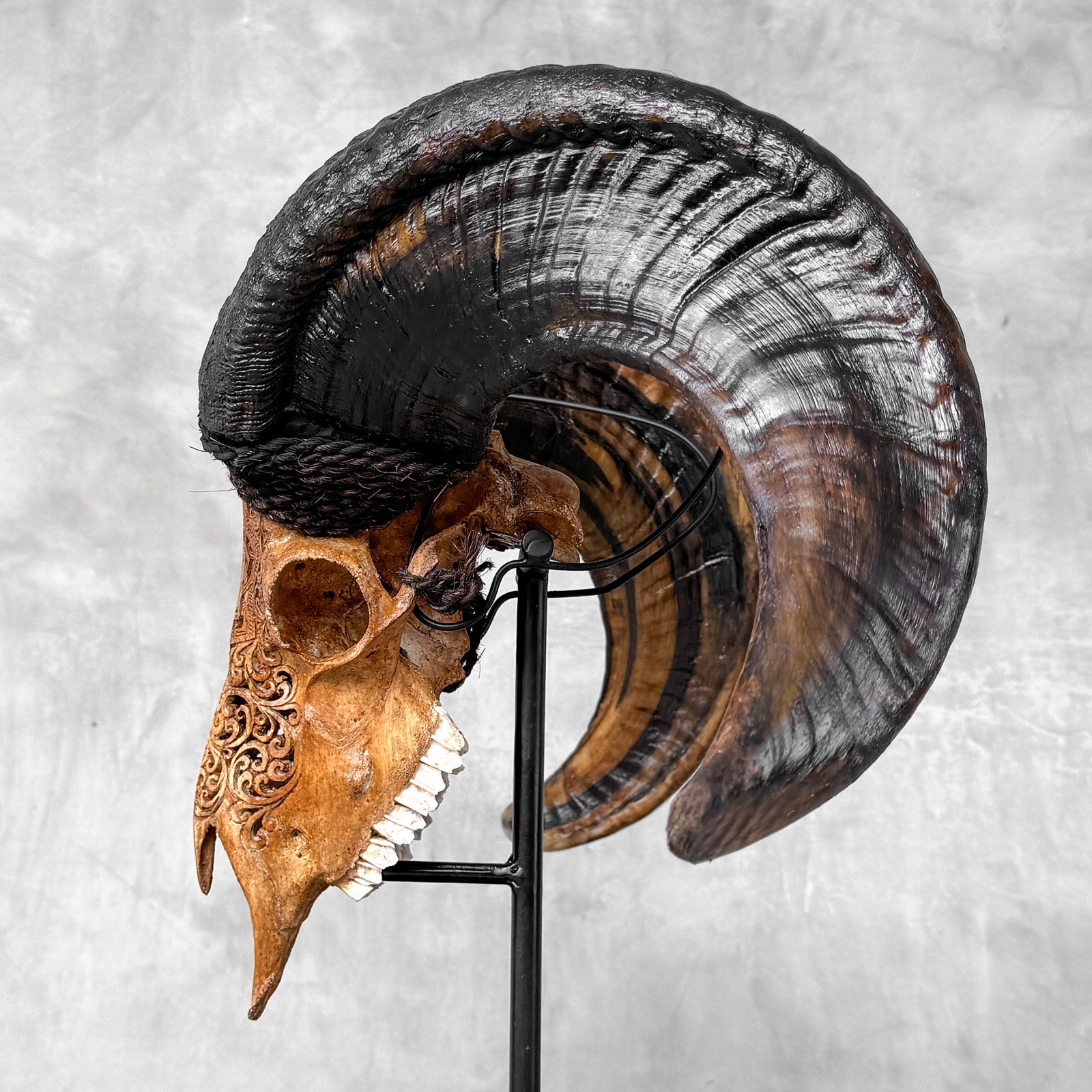 Beautiful large brown ram's skull on a custom stand - Star mandala motif - 5