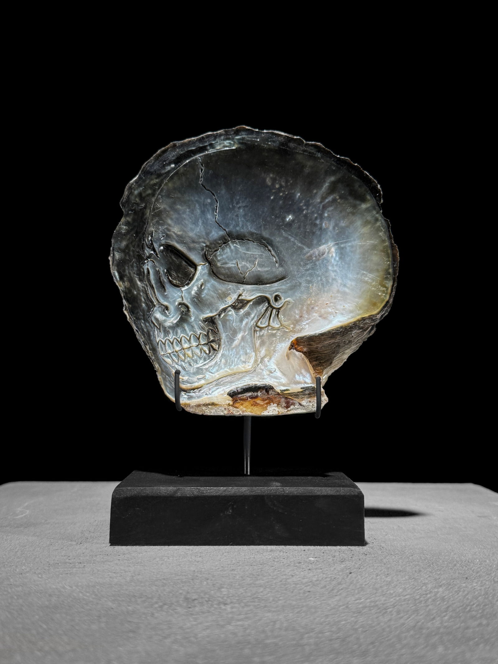 Engraved mother of pearl shell - Human skull motif: Title: Engraved mother of pearl shell - Human skull motifMaker:UnknownOrigin: IndonesiaDate/Period:2025Materials:Pinctada maxima shell, WoodDimensions:Height including stand 17 cm / 6.6 inches Width
