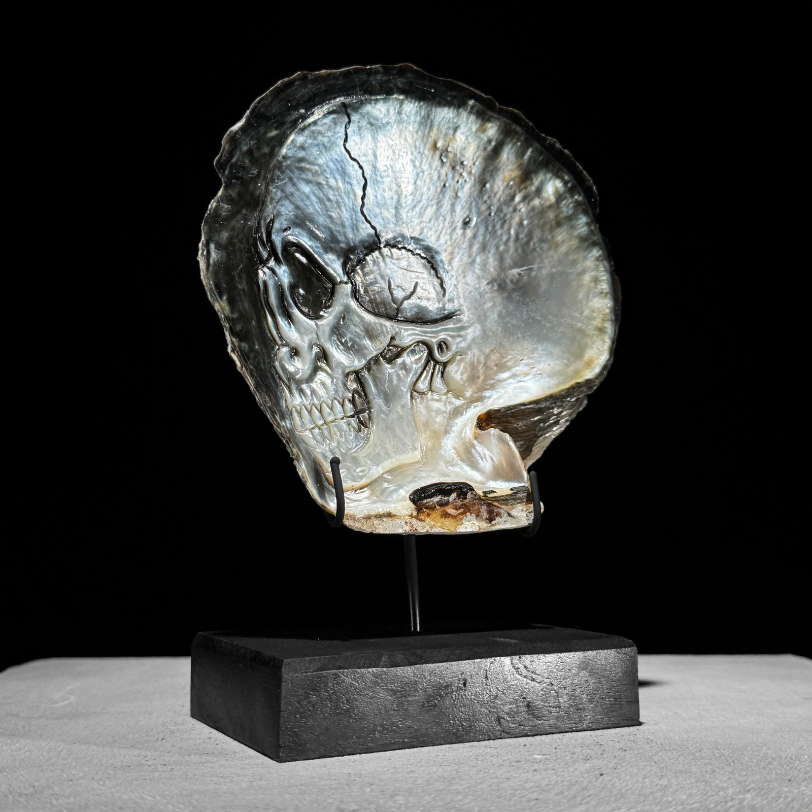 Engraved mother of pearl shell - Human skull motif - 3