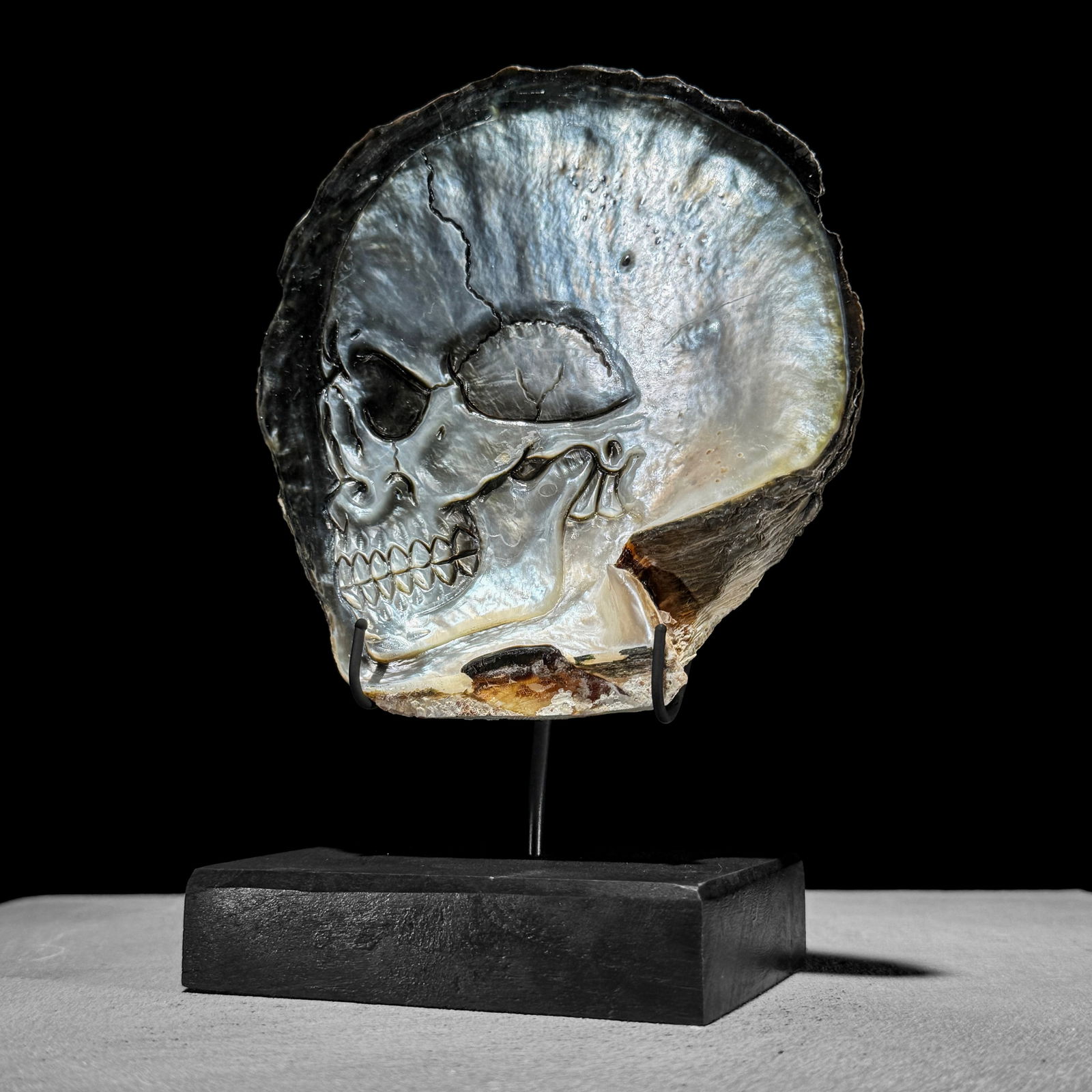 Engraved mother of pearl shell - Human skull motif - 5