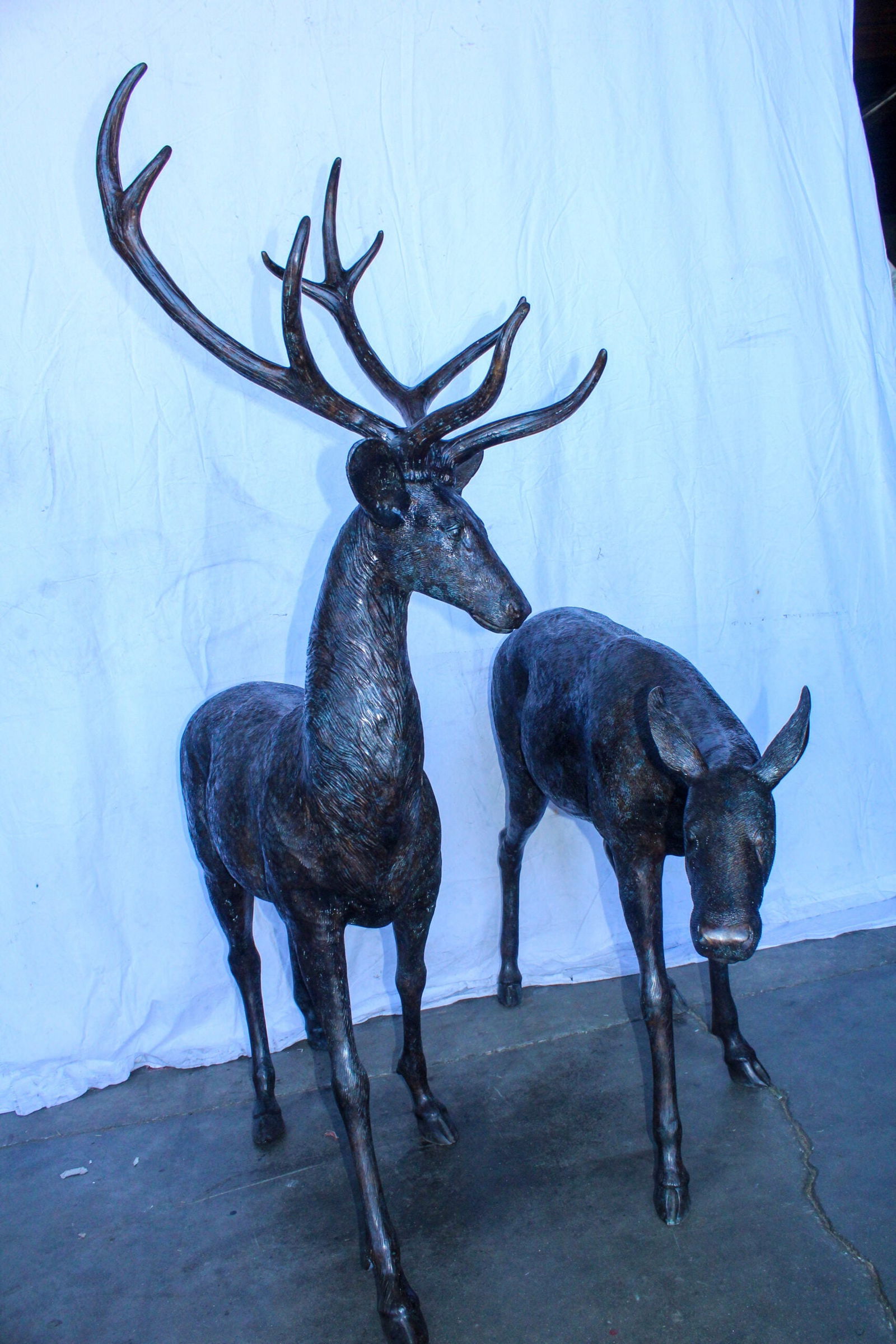 Life Size Bronze Statues of a Pair of Deer, Wildlife Display 58" x 18" x 58"H - 3