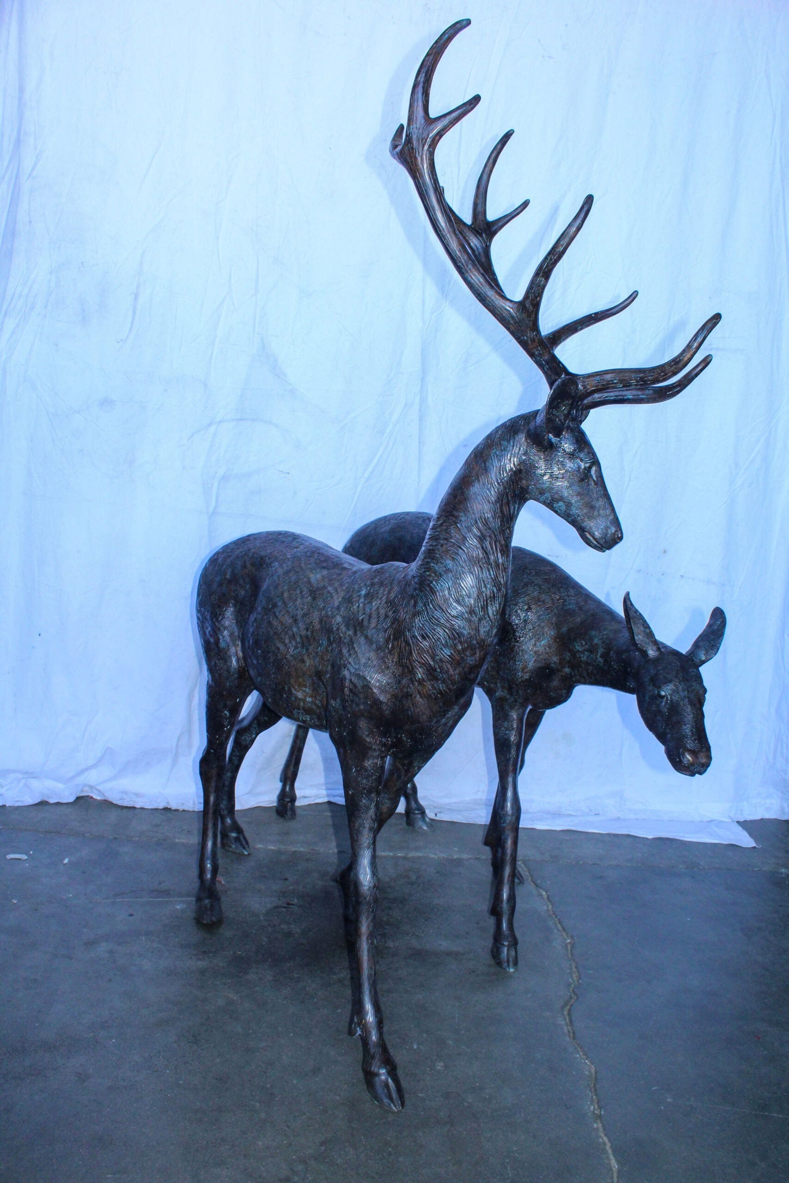 Life Size Bronze Statues of a Pair of Deer, Wildlife Display 58" x 18" x 58"H - 4