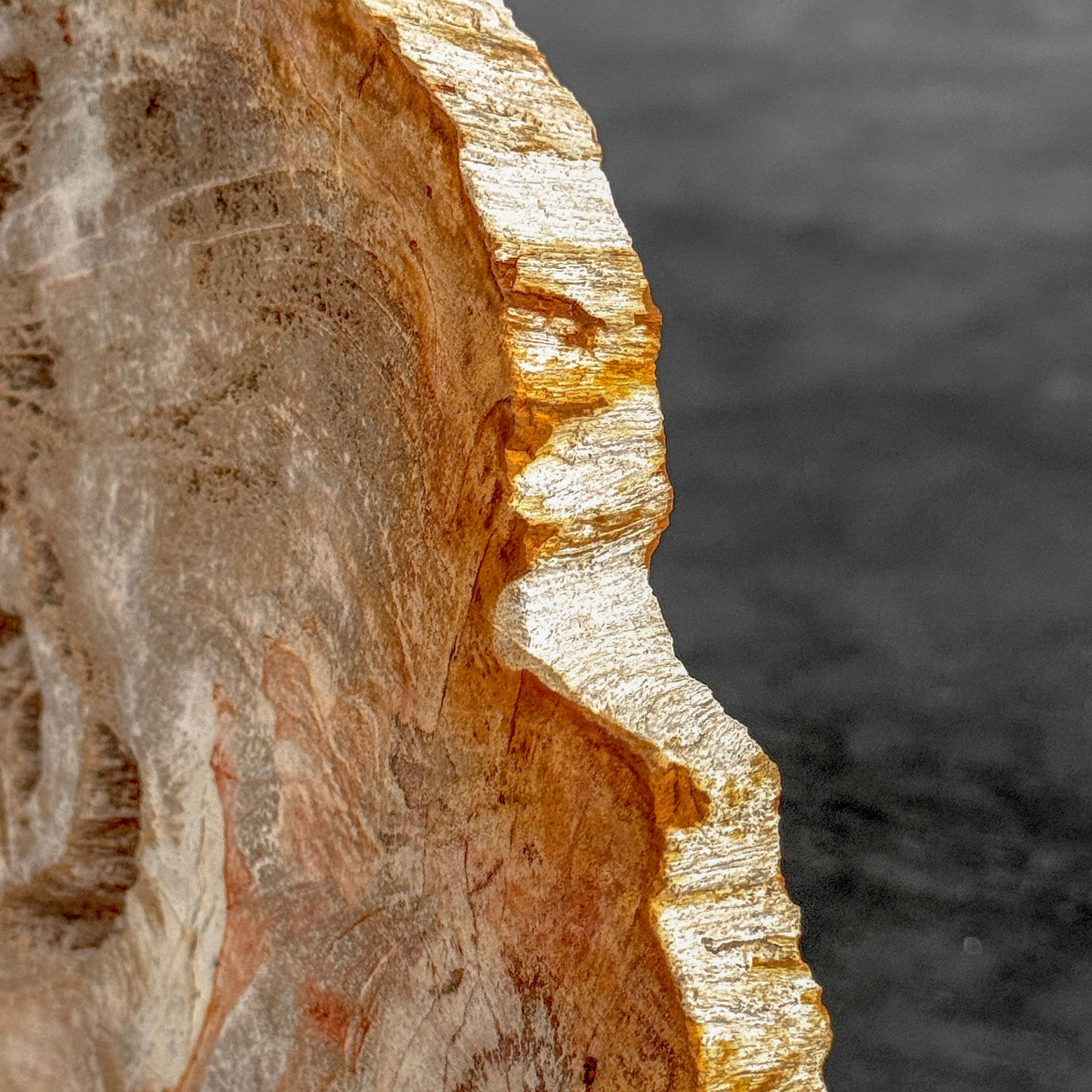 Beautiful slice of petrified wood on a custom stand - 9