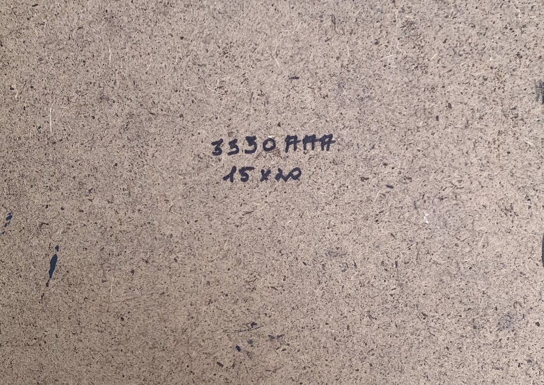 Oil painting A chidhood dream V. Zadorozhnya - 12