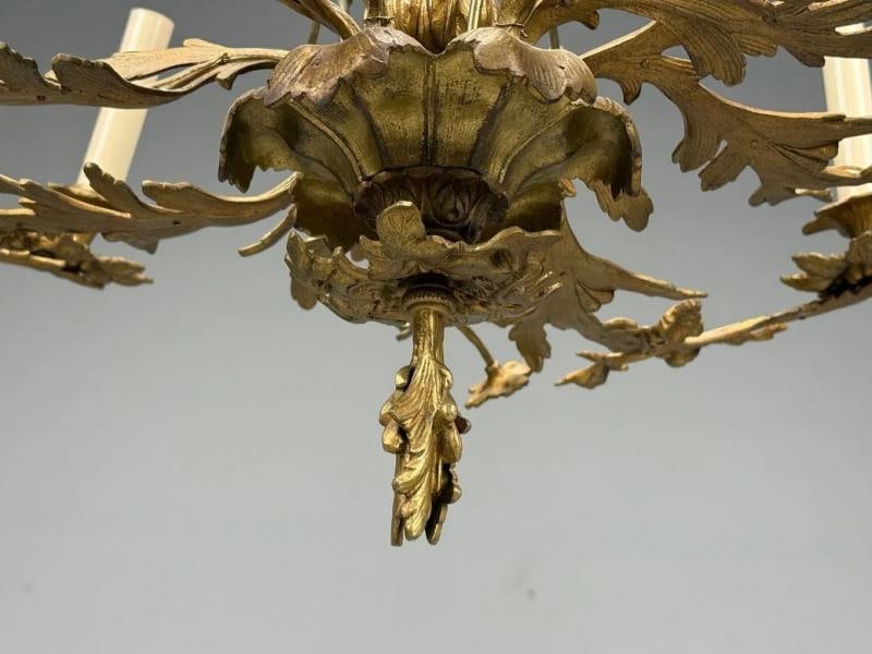 Rococo Style, Leaf and Vine Chandelier, Dore Bronze, Italy, 1920s - 9