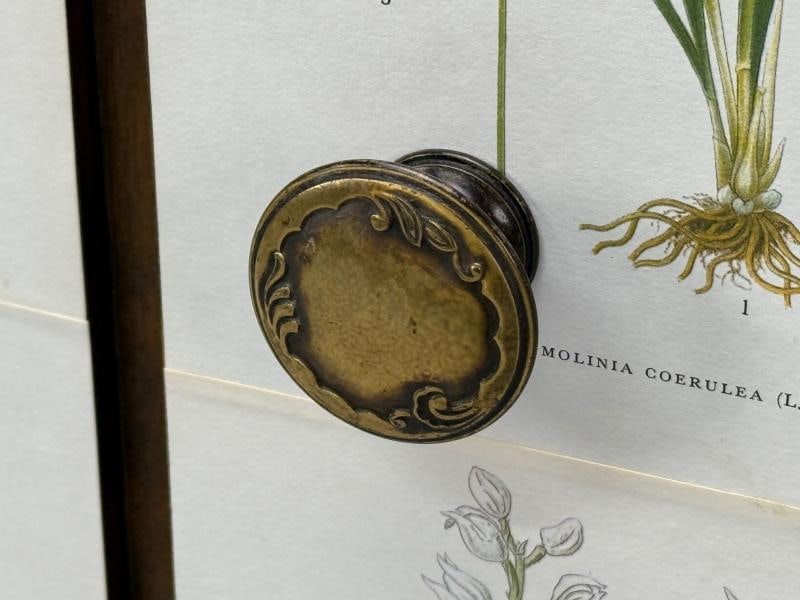 Swedish Modern, Nordens Flora Credenza, Wallpaper, Birch, Sweden, 1940s - 10