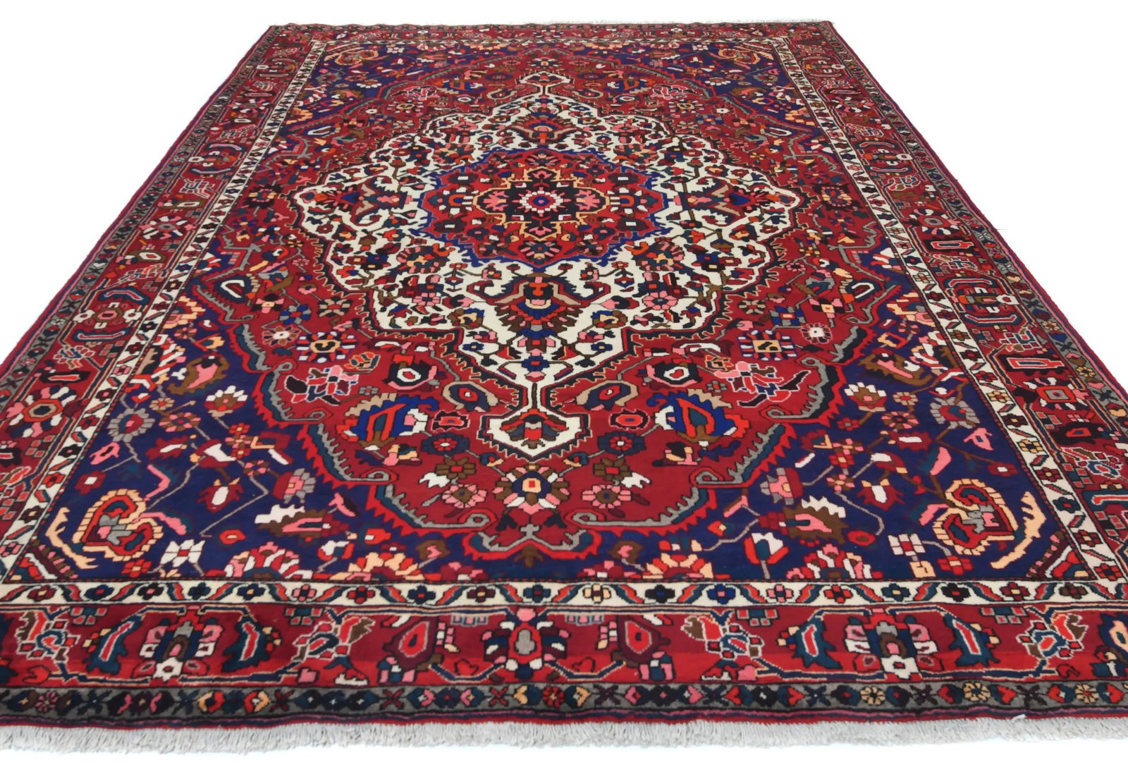 Vintage Red Floral 9X12 Bakhtiari Persian Oriental Rug - 9