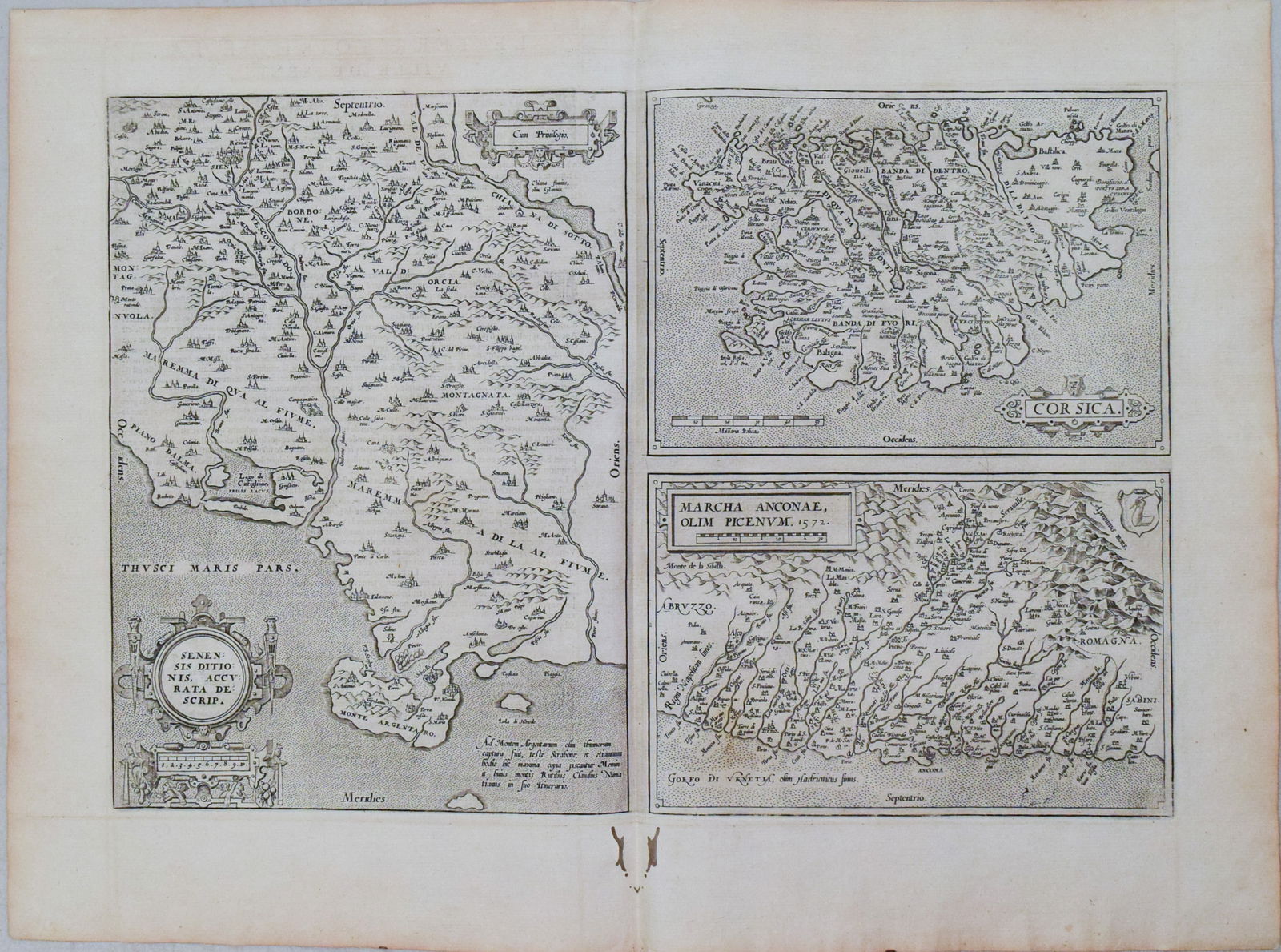 1581 Ortelius Map of Tuscany [with] Corsica [with] Ancona -- Senensis Ditionis, Accurata Descrip [on (1 of 1)