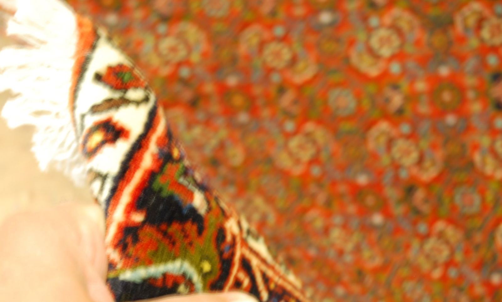 Persian BIJAR RUG 1'11" x 2'11" - 10