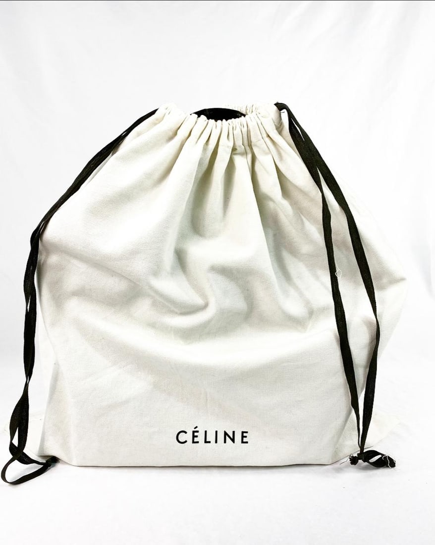 CELINE Brown Crocodile Medium Phantom Luggage Tote Bag - 6