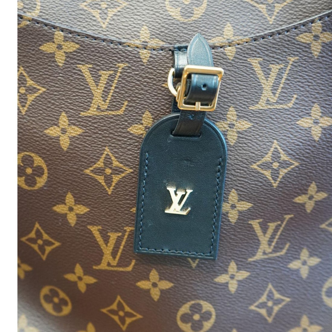 Louis Vuitton Monogram Odeon Crossbody Bag - 15
