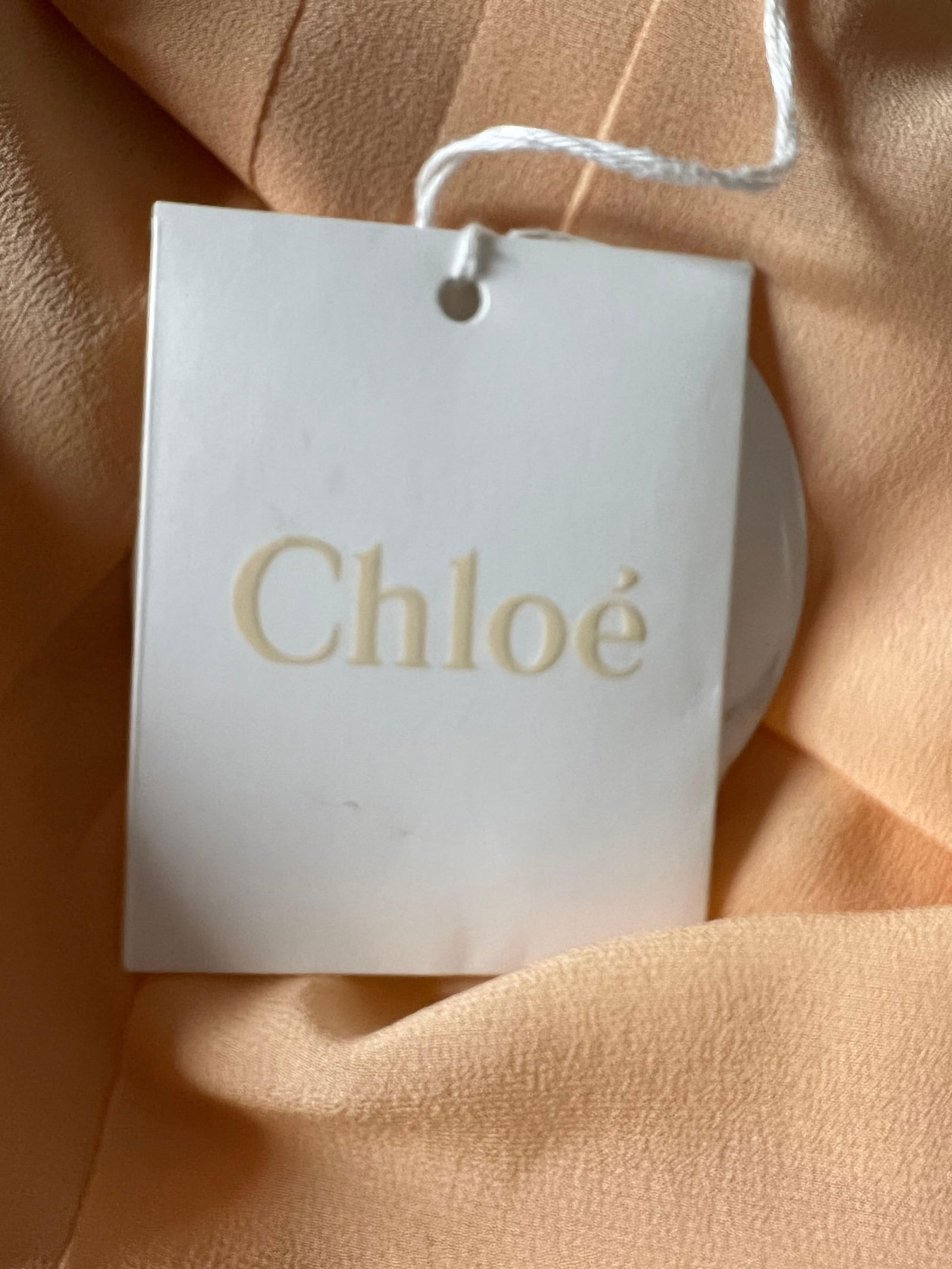 Chloe Peach Silk Pleated Maxi Dress, Size 36 - 15
