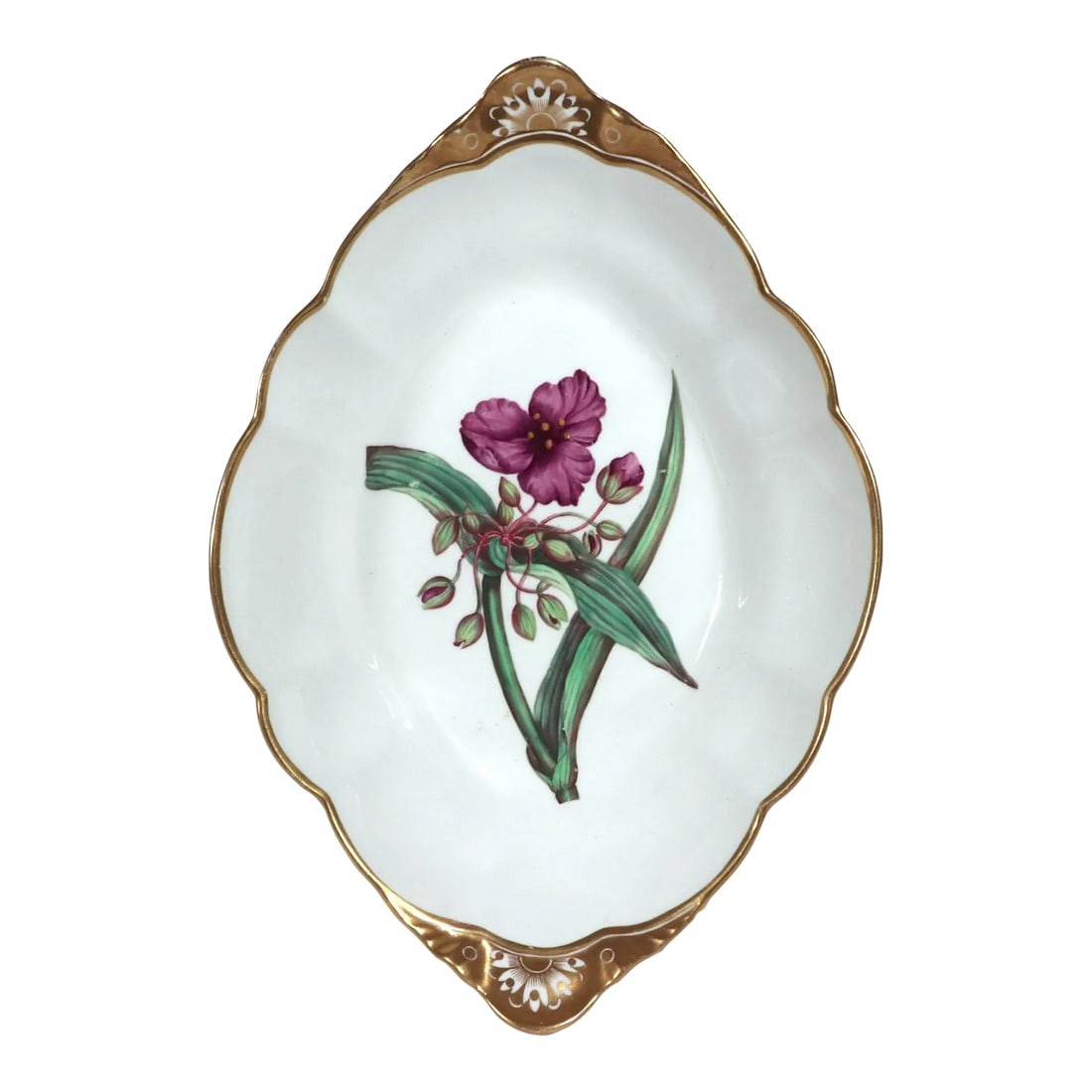 Spode Porcelain Botanical Specimen Dish- Spring Meadow Saffron, After William Curtis: Spode Porcelain Dessert Dish after William Curtis, Vernal Bulbocodium, Circa 1810-20 A fine early 19th-century English porcelain dessert dish by Spode, dating to the Regency period (circa