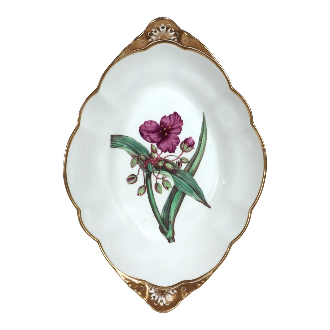 Spode Porcelain Botanical Specimen Dish With a Spiderwort Plant After William Curtis: Botanical Beauty: Spode Porcelain Dessert Dish after William Curtis (Spiderwort Pattern, Ciirca 1810-20) A fine early 19th-century English porcelain dessert dish by Spode, dating to the Regency
