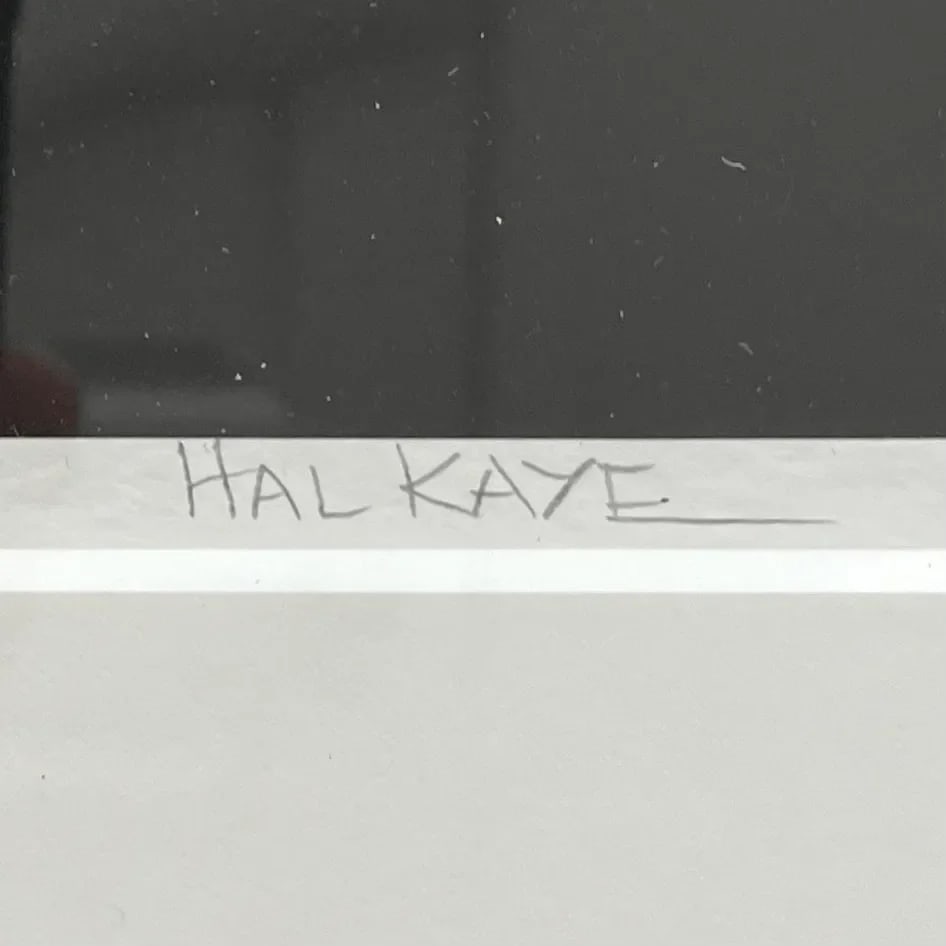 Chinese Hibiscus I - Limited Edition Framed Photograph Signed - Hal Kaye (1927-2020) - 4