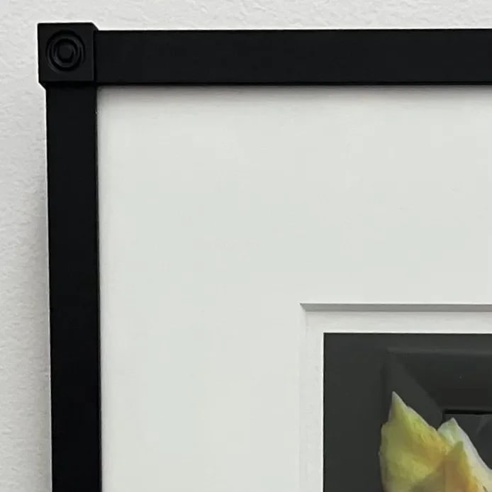 Chinese Hibiscus I - Limited Edition Framed Photograph Signed - Hal Kaye (1927-2020) - 6