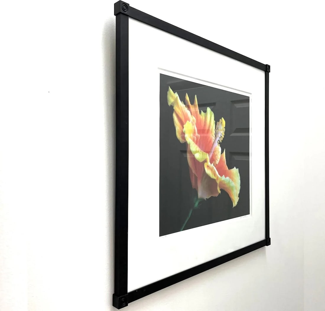 Chinese Hibiscus I - Limited Edition Framed Photograph Signed - Hal Kaye (1927-2020) - 7