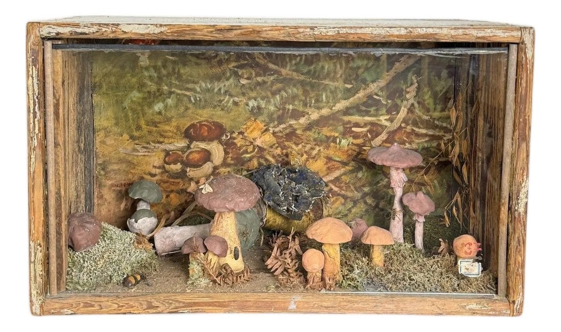 European Mushroom Diorama: Vintage European mushroom diorama with handpainted background 21"l x 12"d x 12"h 48-073 Condition: Alterations: Original Condition Unaltered Imperfections: Some Imperfections Condition Notes: paint