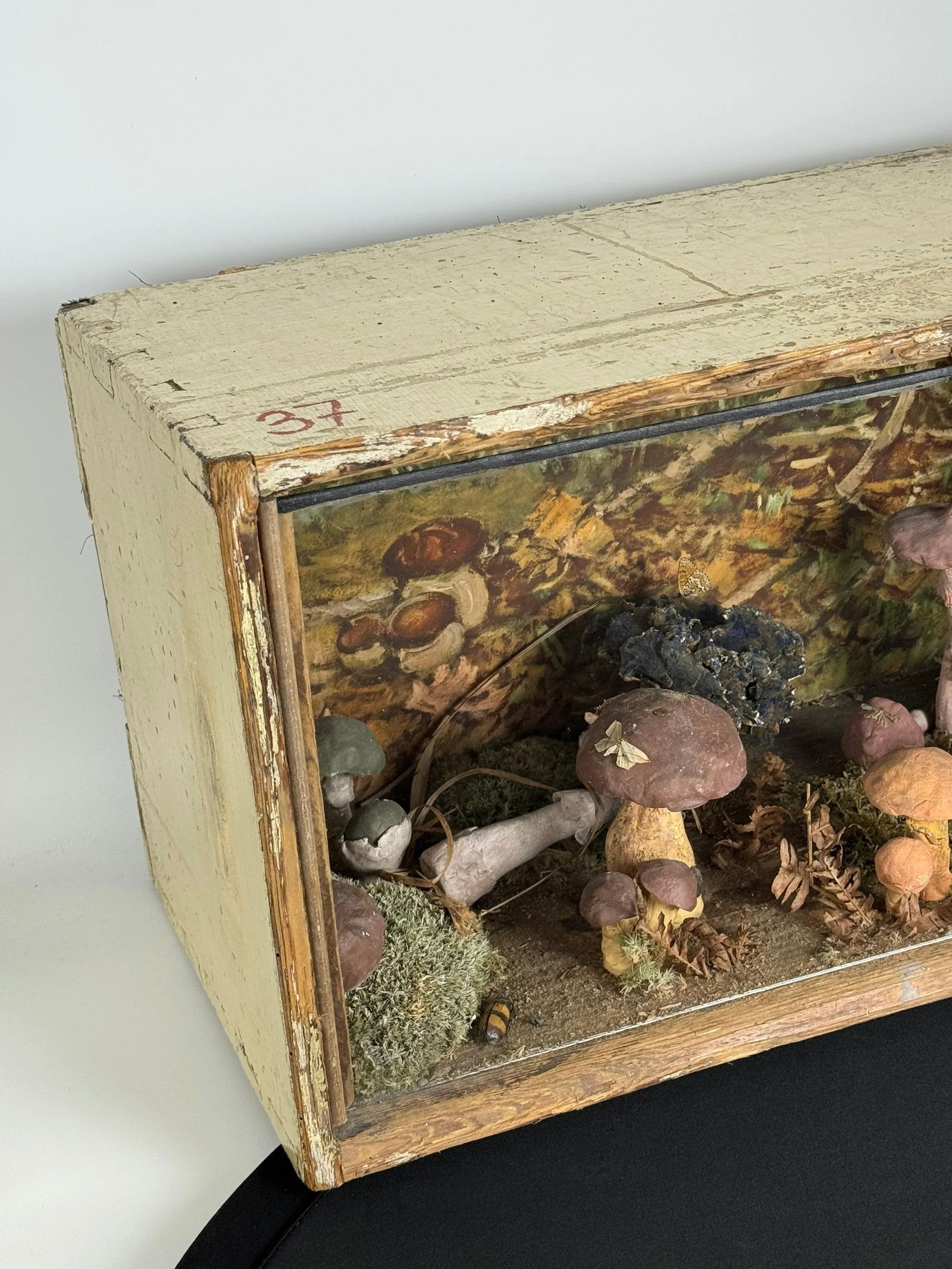 European Mushroom Diorama - 2