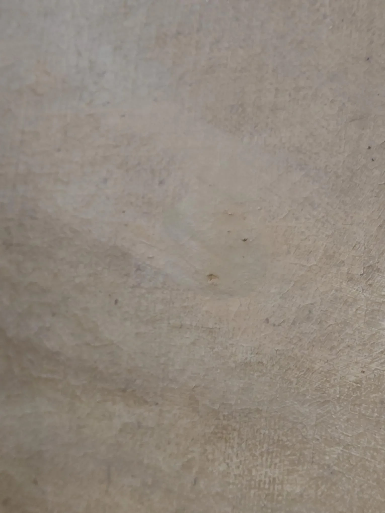 Antique Framed "Our Lady of Refuge" Oil on Canvas - 15