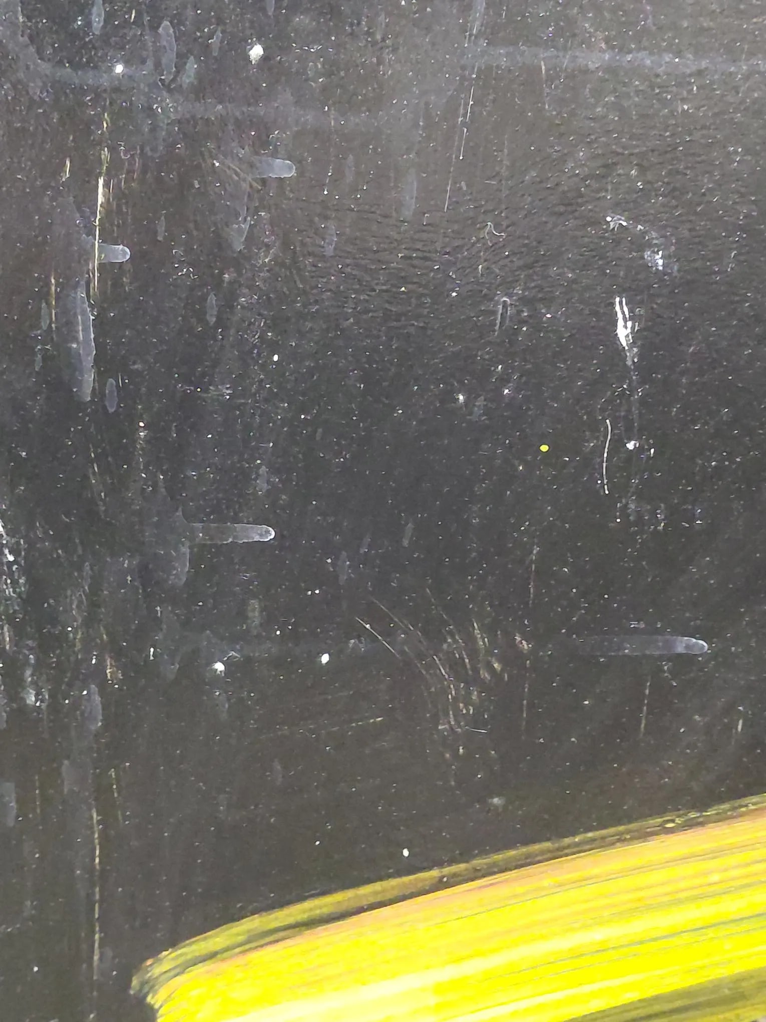 Framed Signed Peter Keil "My Friend Rainer Fetting" Oil on Masonite - 8