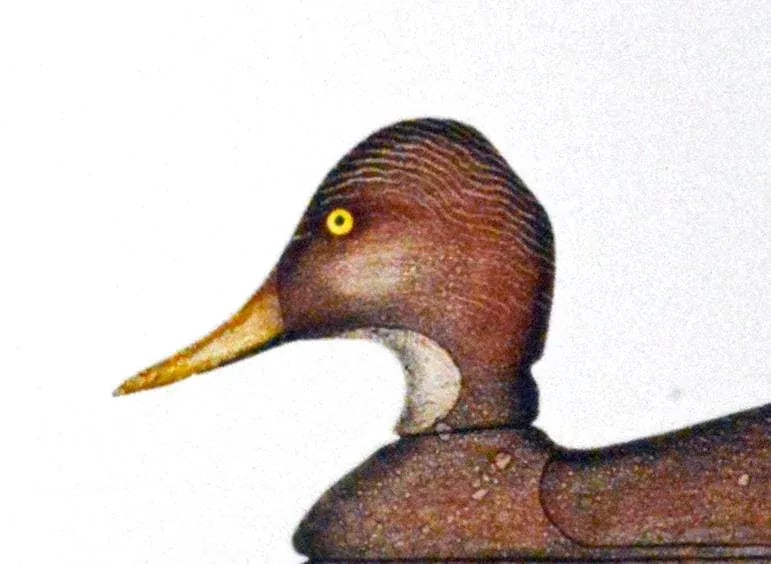 Arthur Nevin Mallard Hen Duck Decoy Print - 5