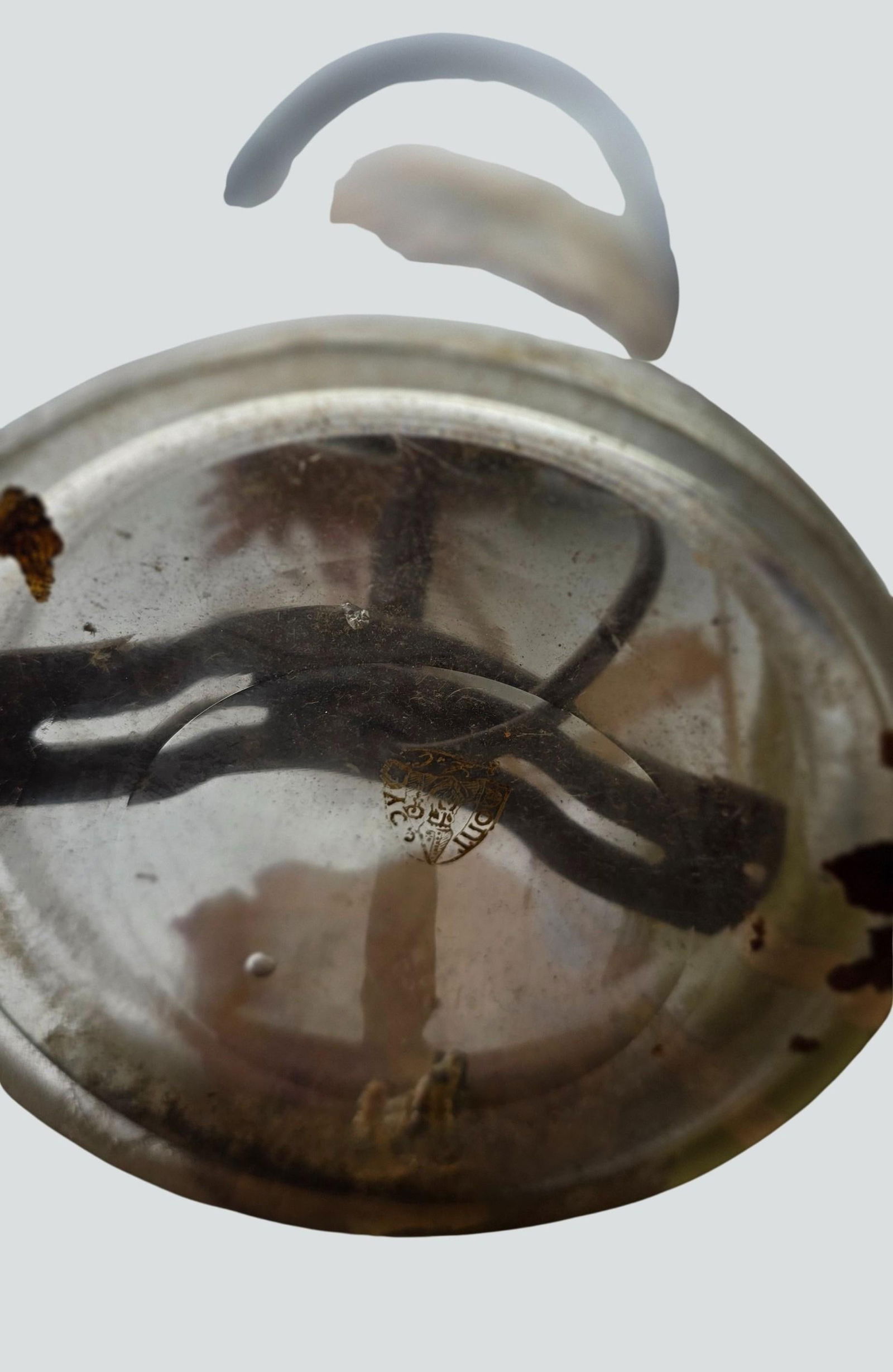 Antique Mont Joye French Art Nouveau Glass Lamp - Hand-Painted Sunflower Legras Cameo Glass - 12