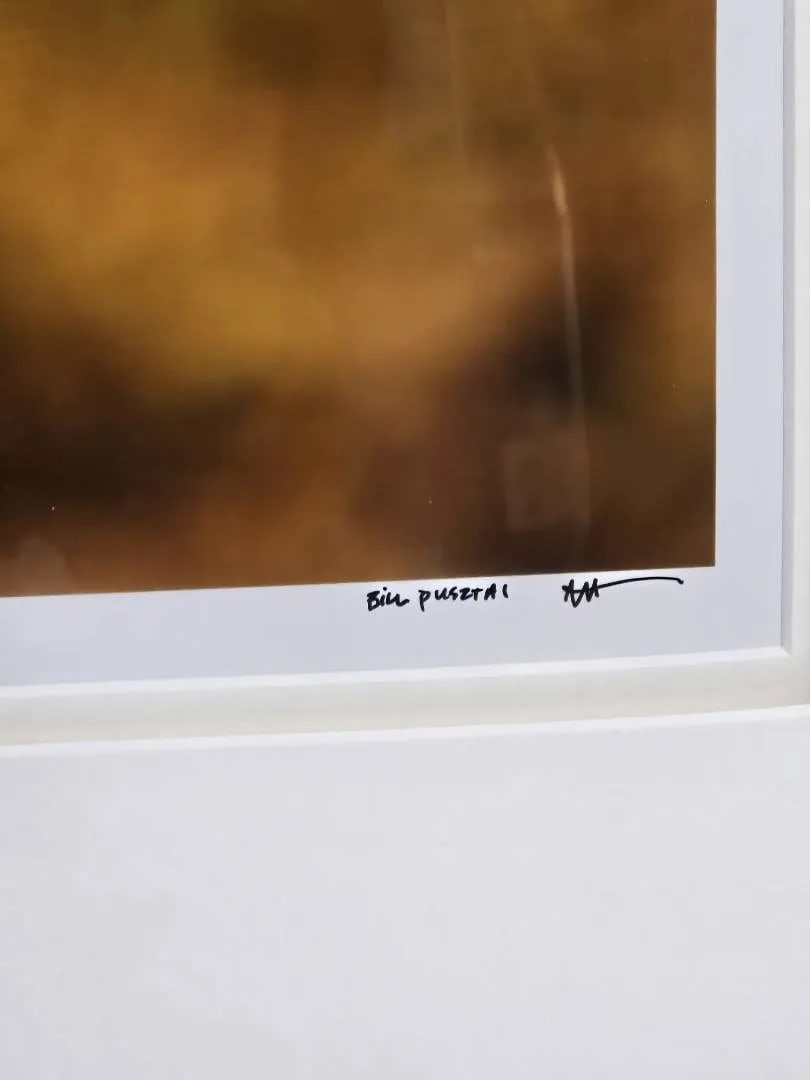 Late 20th Century Bill Pusztai Signed Limited Edition "Seattle Japanese Garden" Photograph & "Black - 10