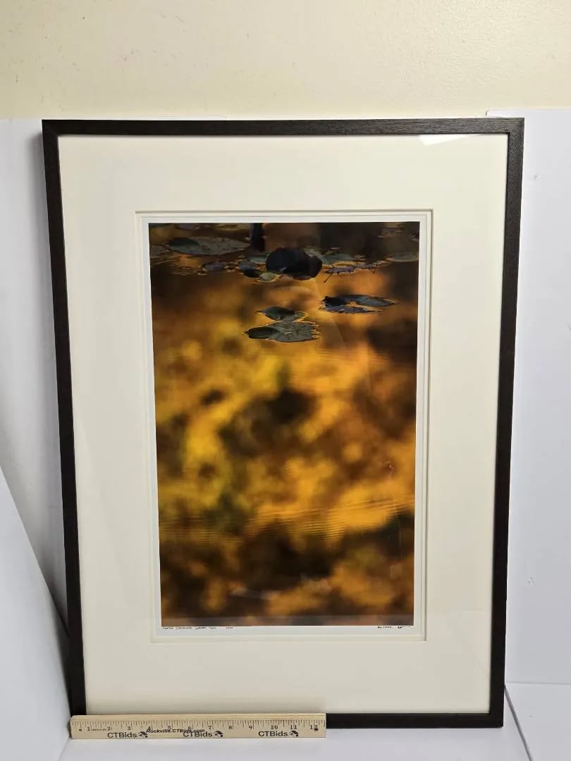 Late 20th Century Bill Pusztai Signed Limited Edition "Seattle Japanese Garden" Photograph & "Black - 14