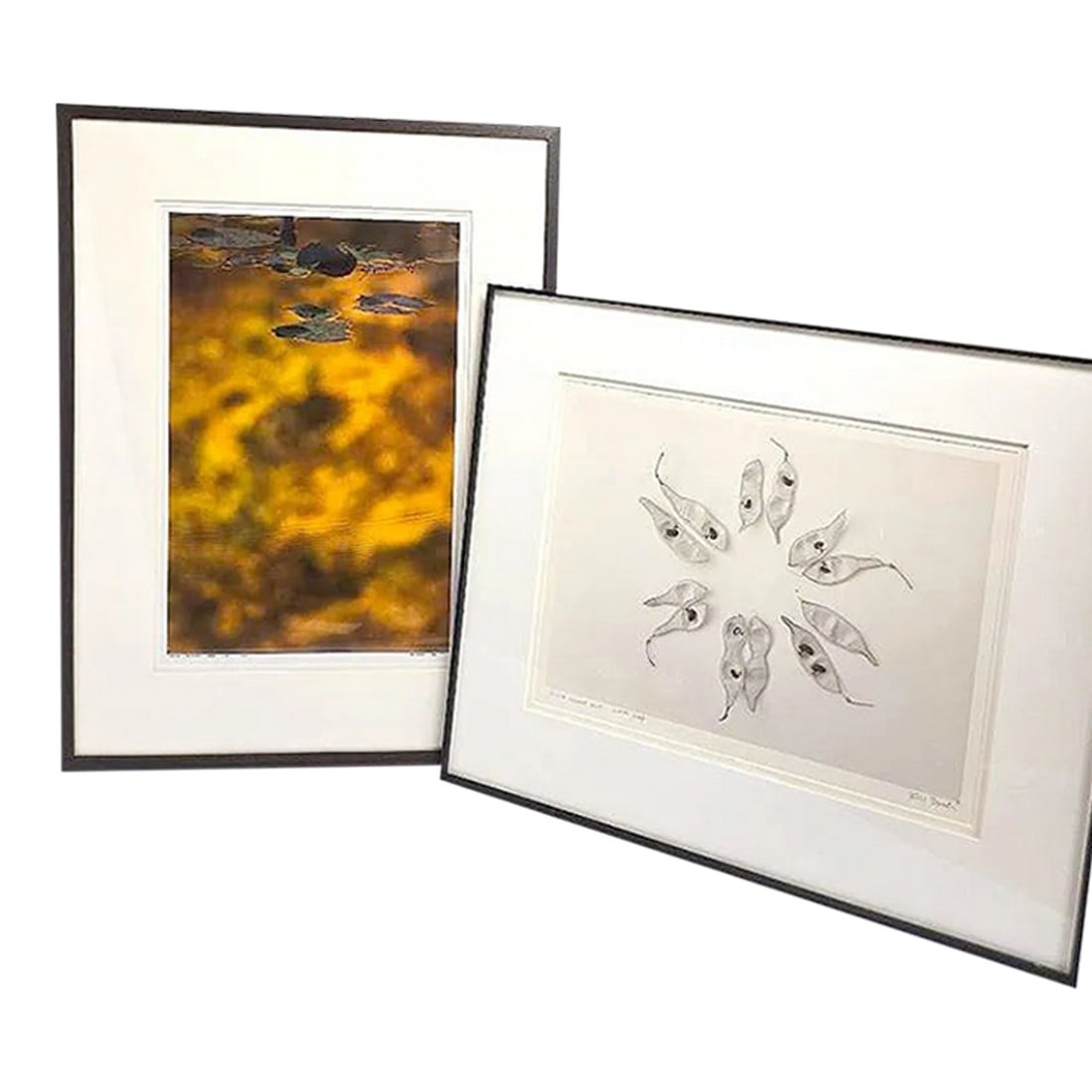 Late 20th Century Bill Pusztai Signed Limited Edition "Seattle Japanese Garden" Photograph & "Black: Bill Pusztai is a Canadian fine art photographer celebrated for his thoughtful, often botanical imagery that blurs the line between photography and drawing. This framed pair features a luminous color