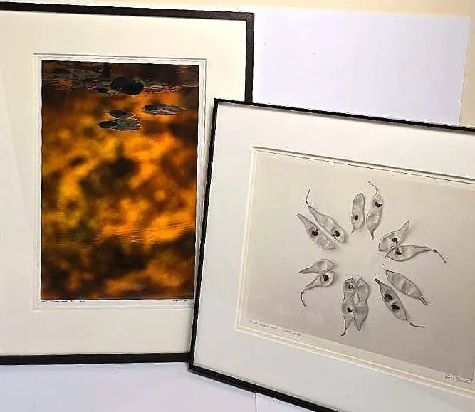 Late 20th Century Bill Pusztai Signed Limited Edition "Seattle Japanese Garden" Photograph & "Black - 2