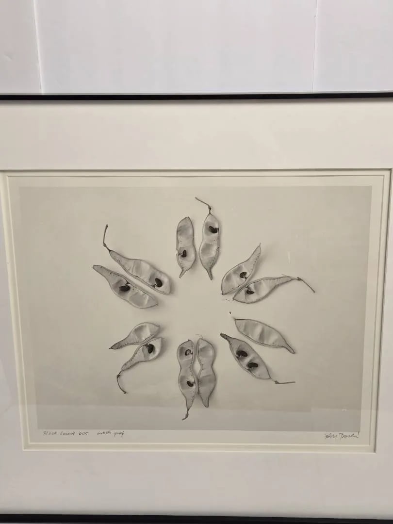 Late 20th Century Bill Pusztai Signed Limited Edition "Seattle Japanese Garden" Photograph & "Black - 4