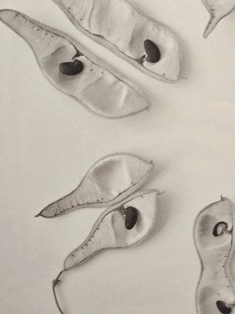 Late 20th Century Bill Pusztai Signed Limited Edition "Seattle Japanese Garden" Photograph & "Black - 9