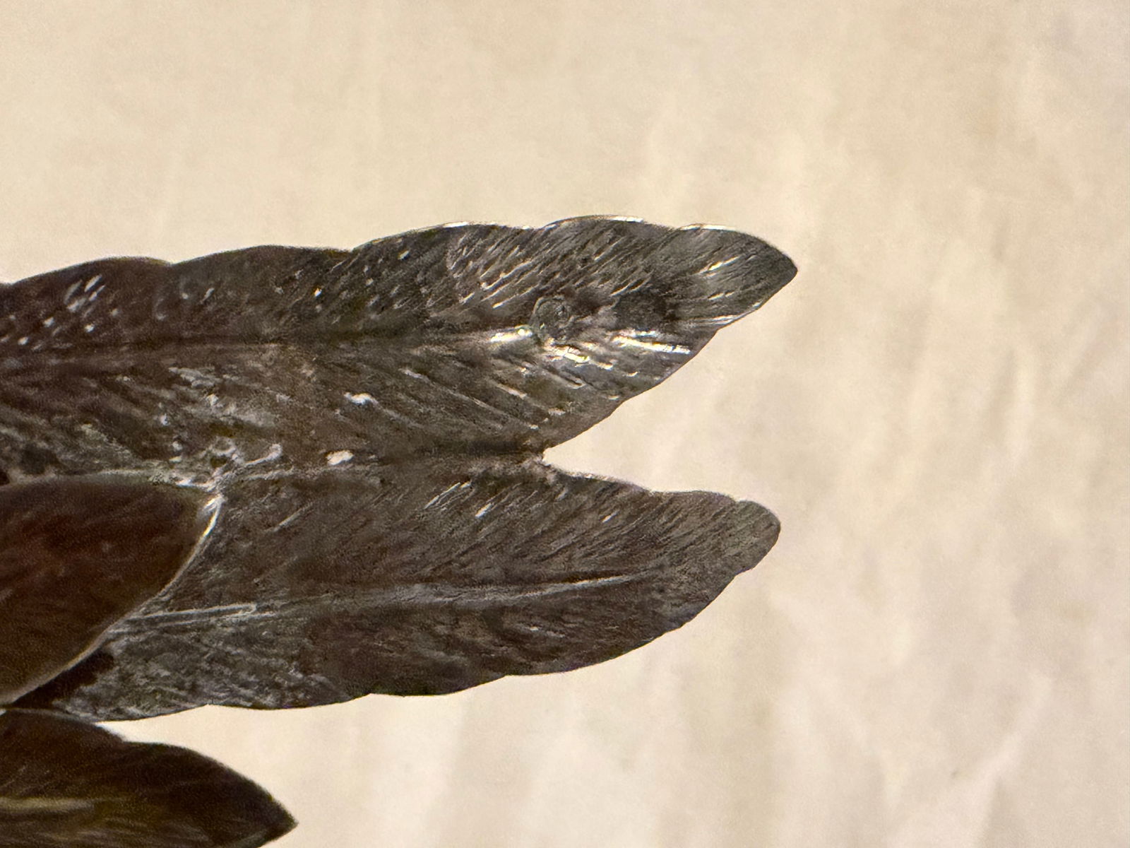 Mid-20th Century Spanish 915 Silver Chicken Figurine With Detailed Feather Work - 7