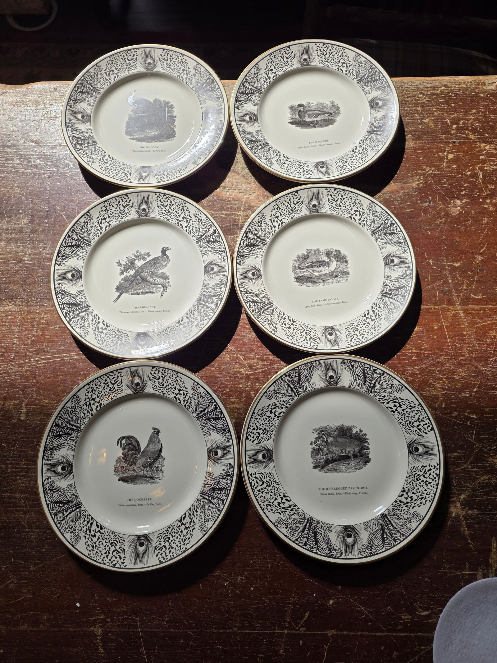 Six Bewick Bird Plates by Prinknash Abbey Pottery - 10