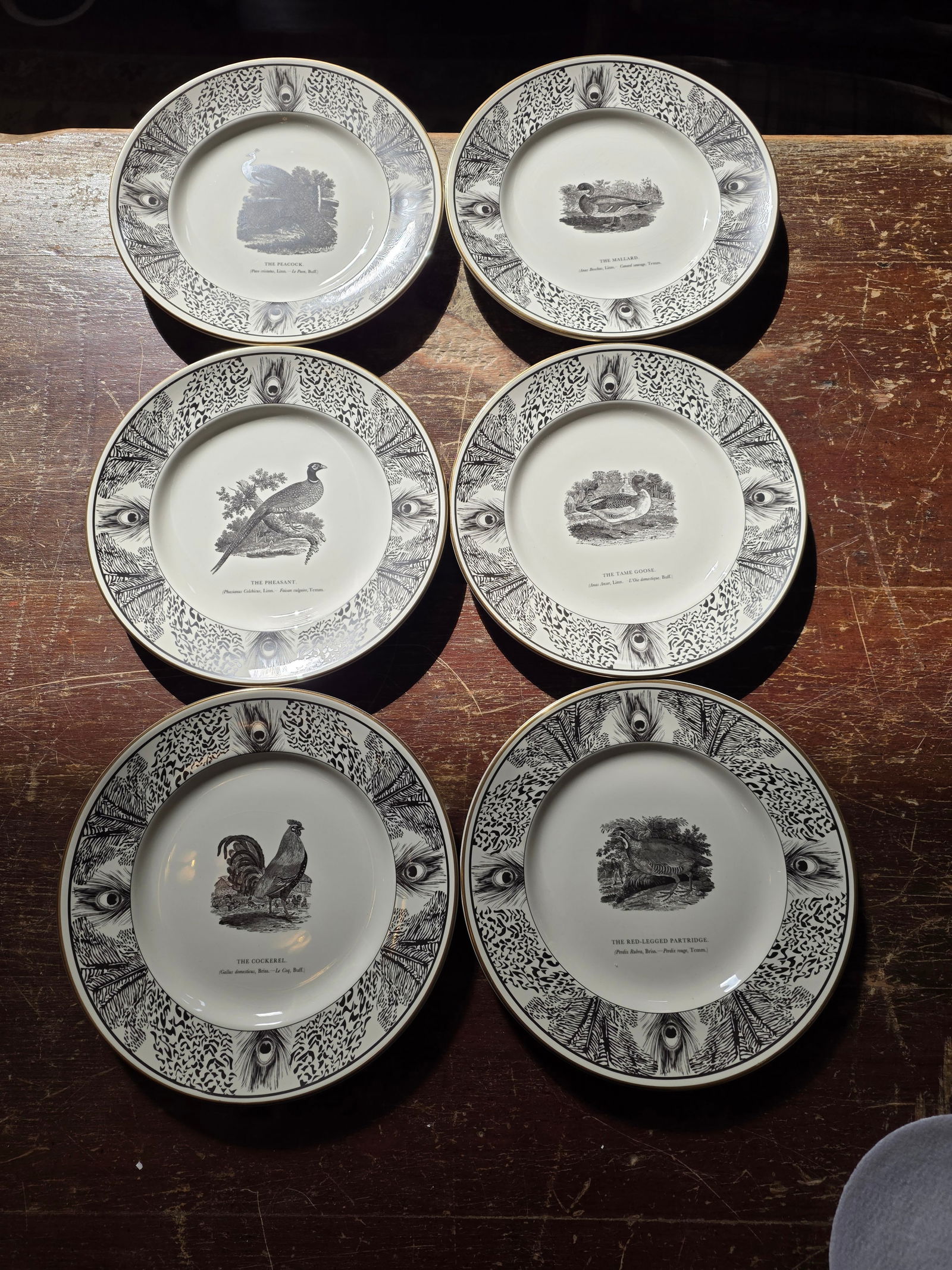 Six Bewick Bird Plates by Prinknash Abbey Pottery - 11