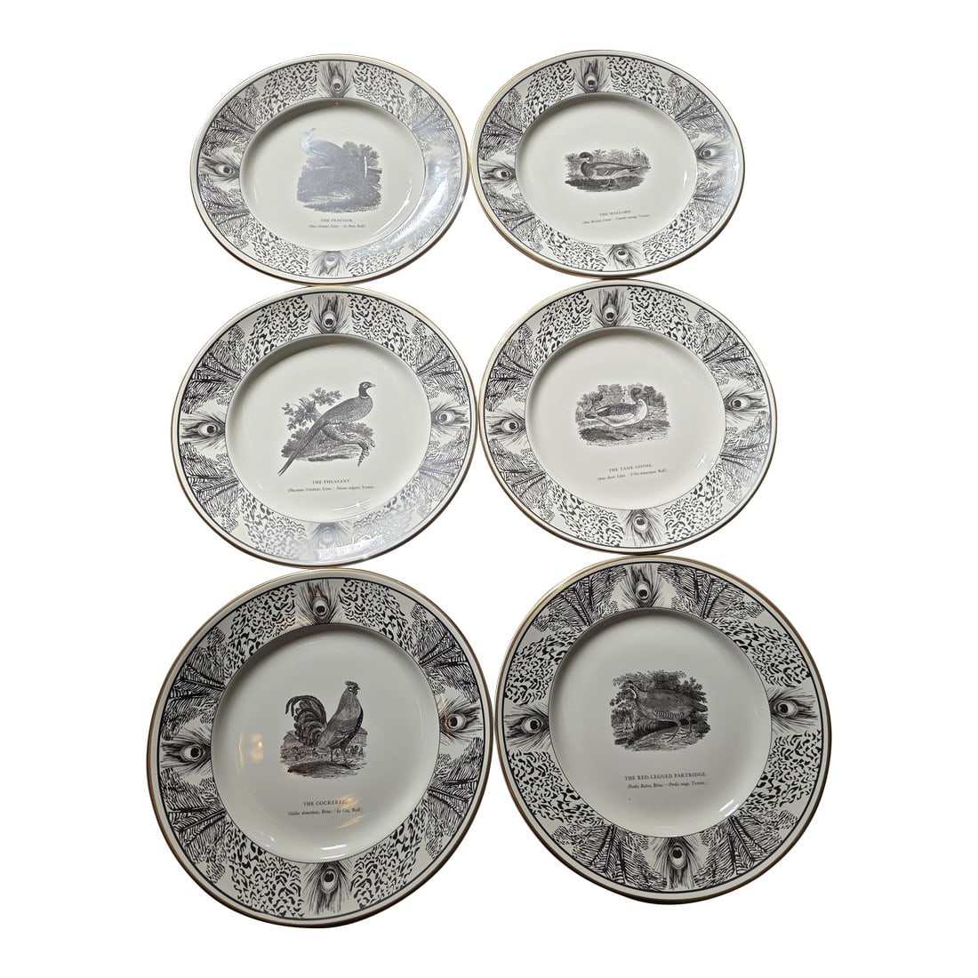 Six Bewick Bird Plates by Prinknash Abbey Pottery: Great set of Six Bewick's Birds plates. Condition: Alterations: Original Condition Unaltered Imperfections: Some Imperfections Condition Notes: Great Dimensions: Height: 0.75 in. Width: 8.2 in.