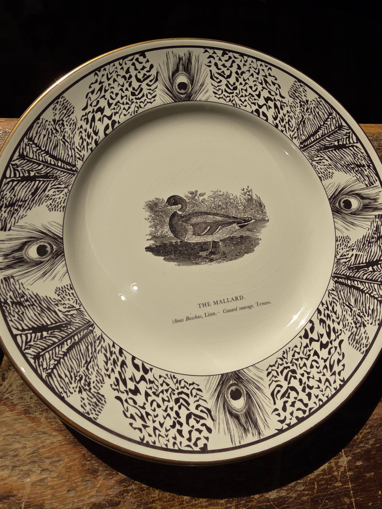 Six Bewick Bird Plates by Prinknash Abbey Pottery - 3