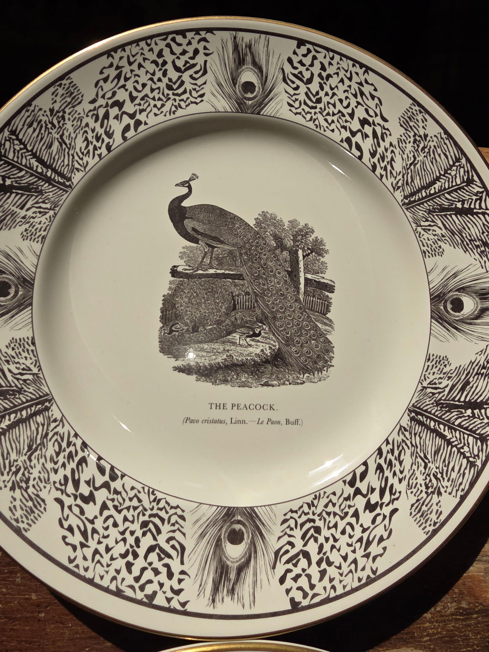 Six Bewick Bird Plates by Prinknash Abbey Pottery - 4