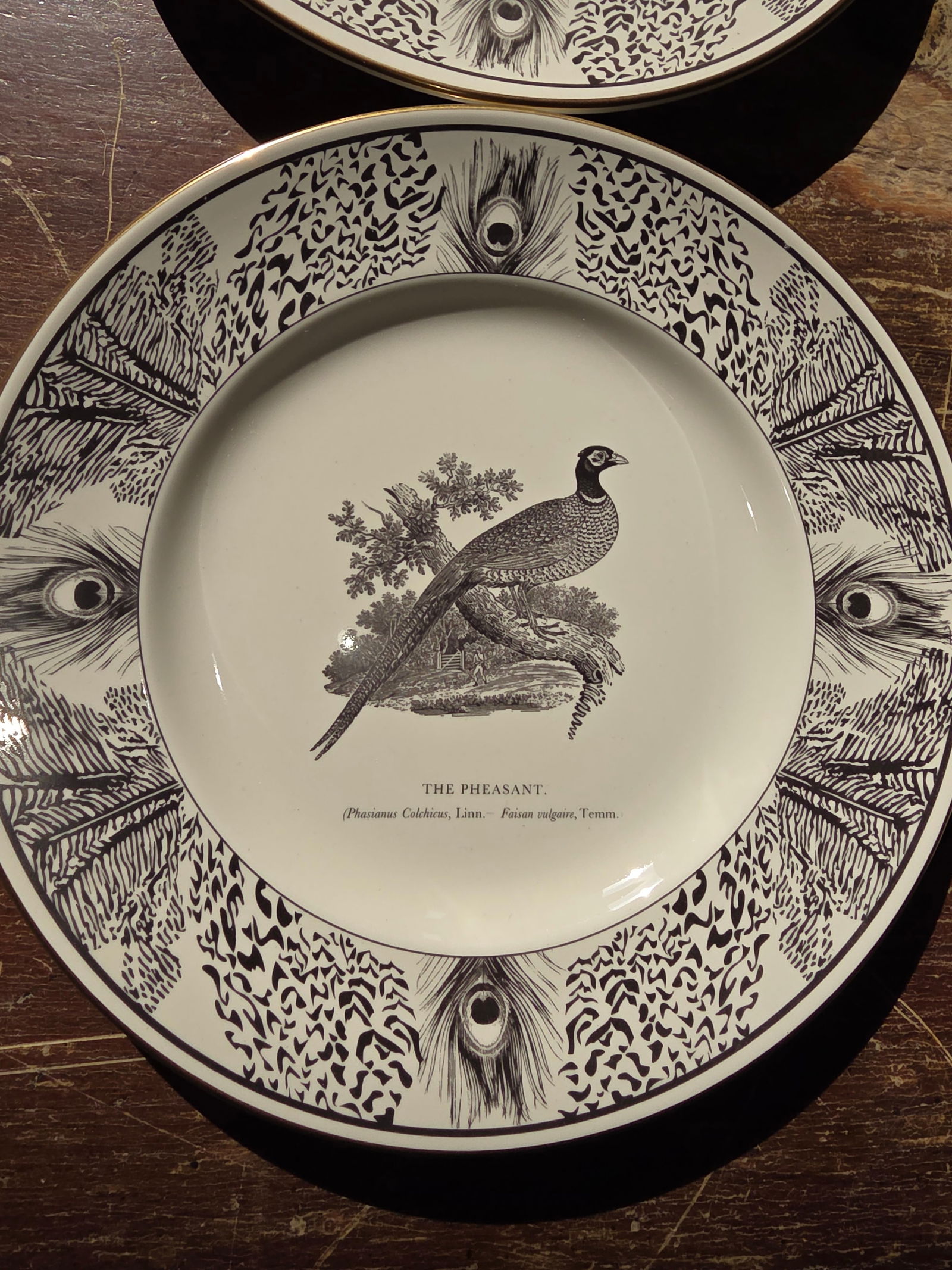 Six Bewick Bird Plates by Prinknash Abbey Pottery - 5